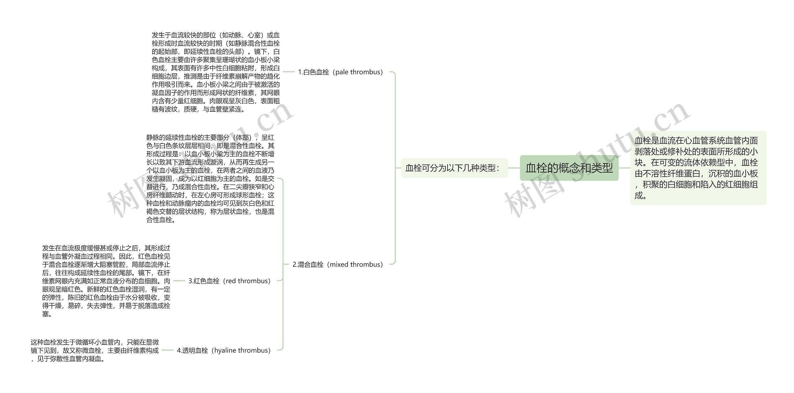 血栓的概念和类型