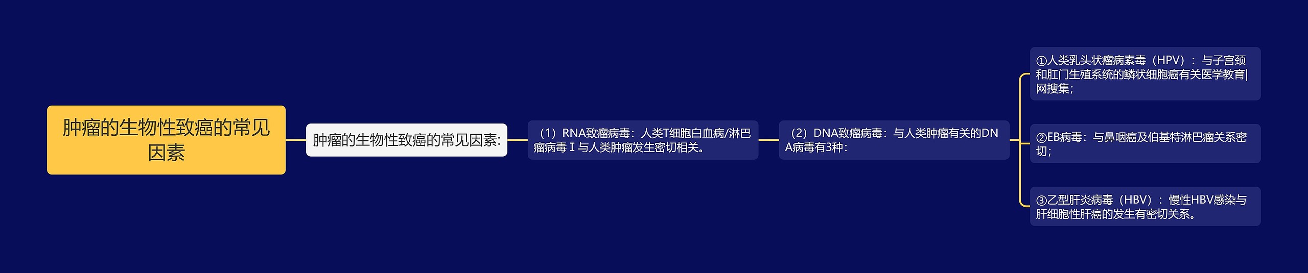 肿瘤的生物性致癌的常见因素思维导图