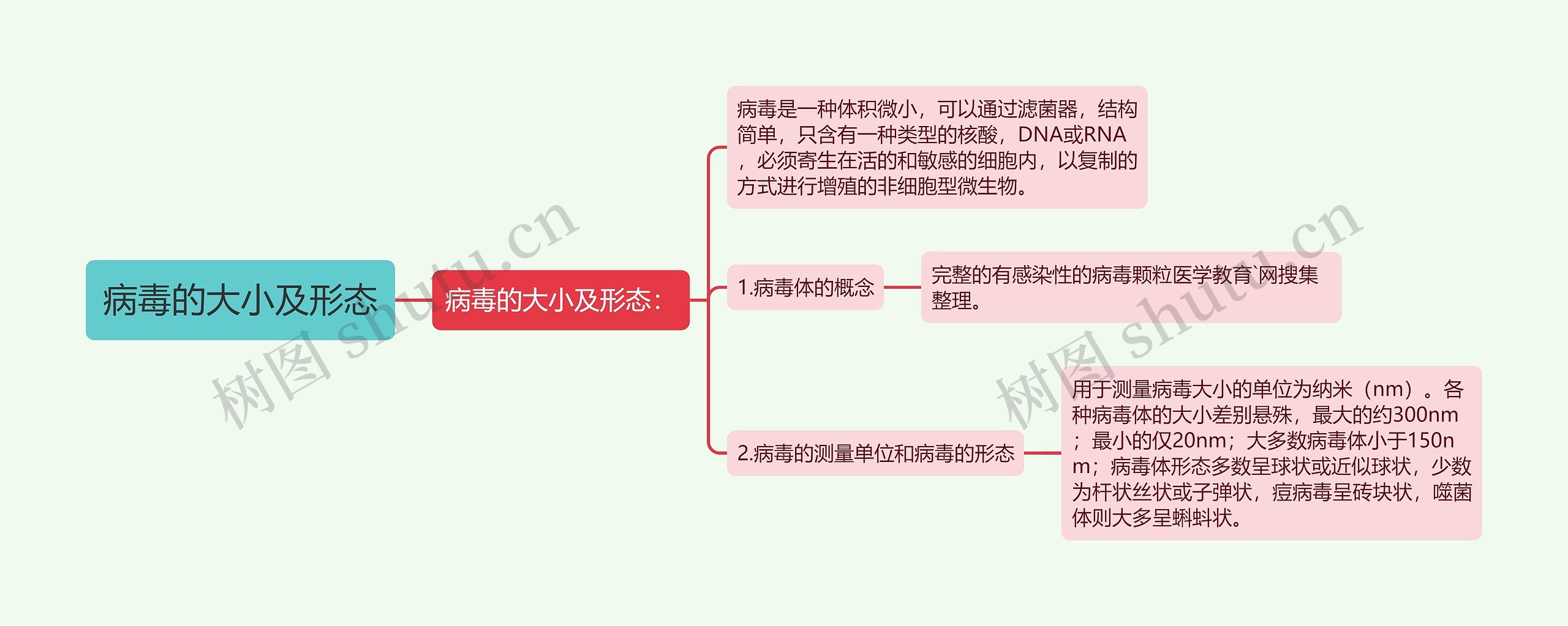 病毒的大小及形态思维导图