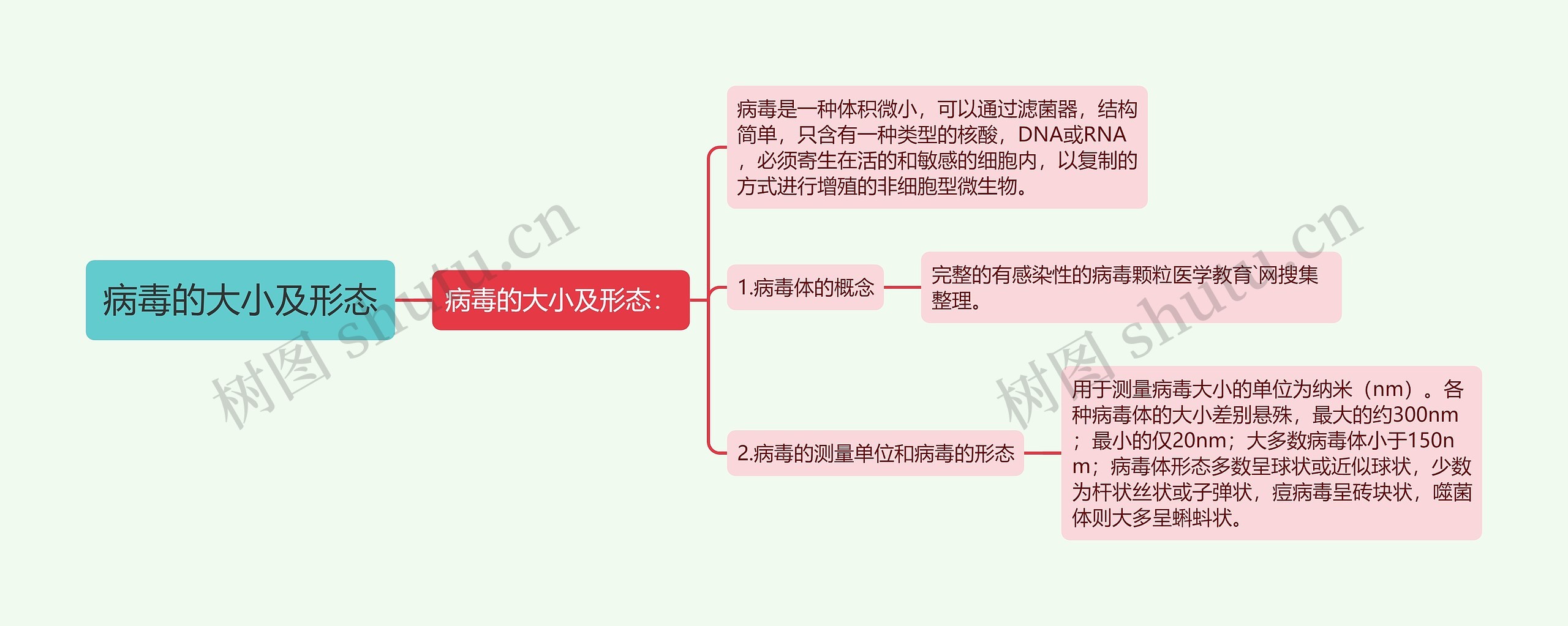 病毒的大小及形态 病毒的大小及形态