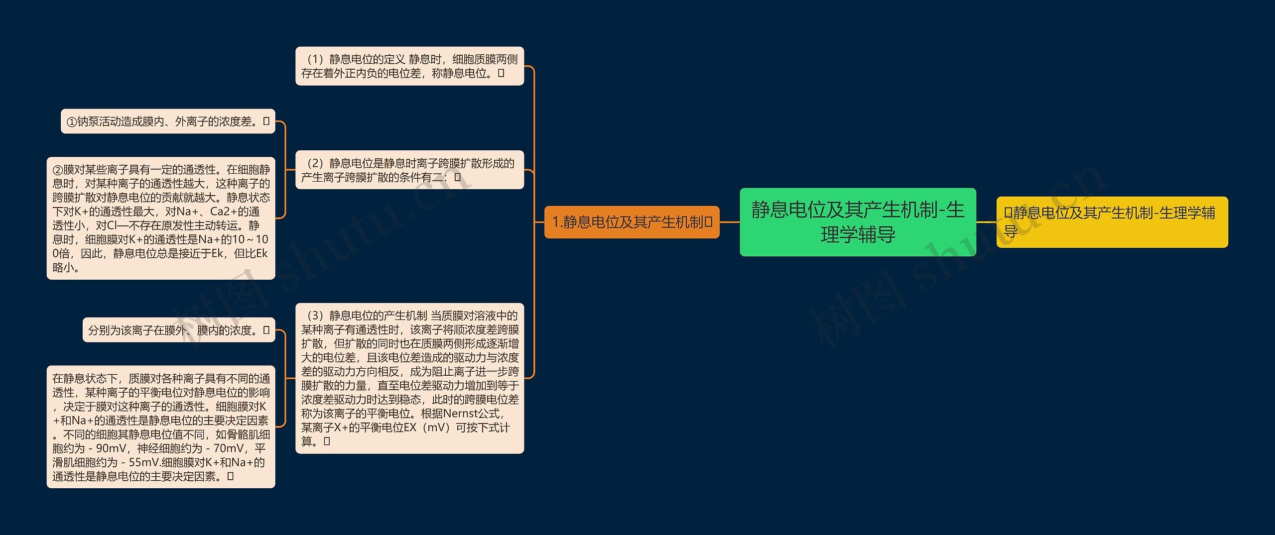 静息电位及其产生机制-生理学辅导思维导图