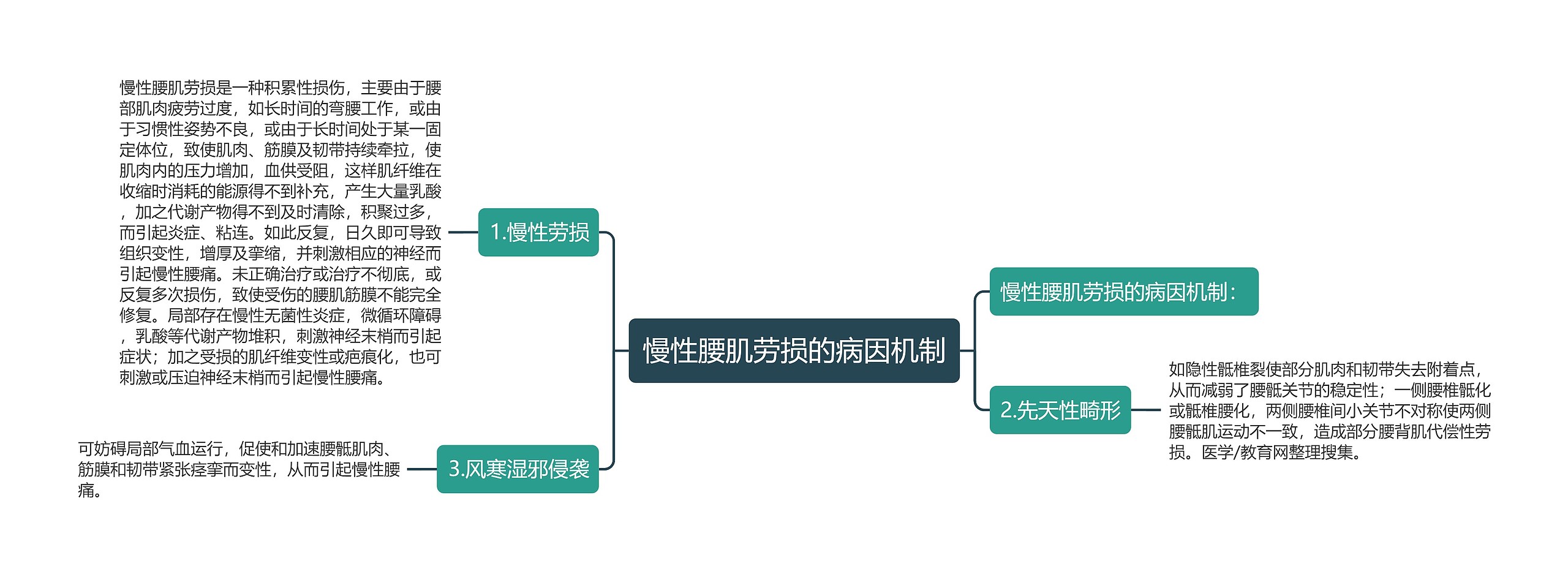 慢性腰肌劳损的病因机制