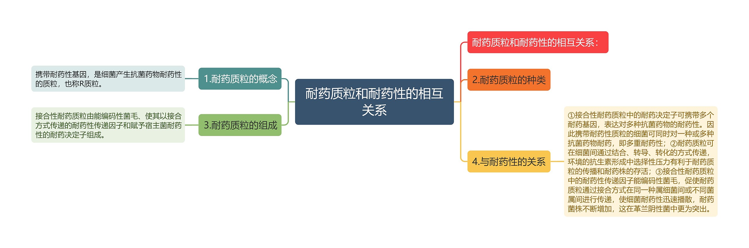 耐药质粒和耐药性的相互关系思维导图