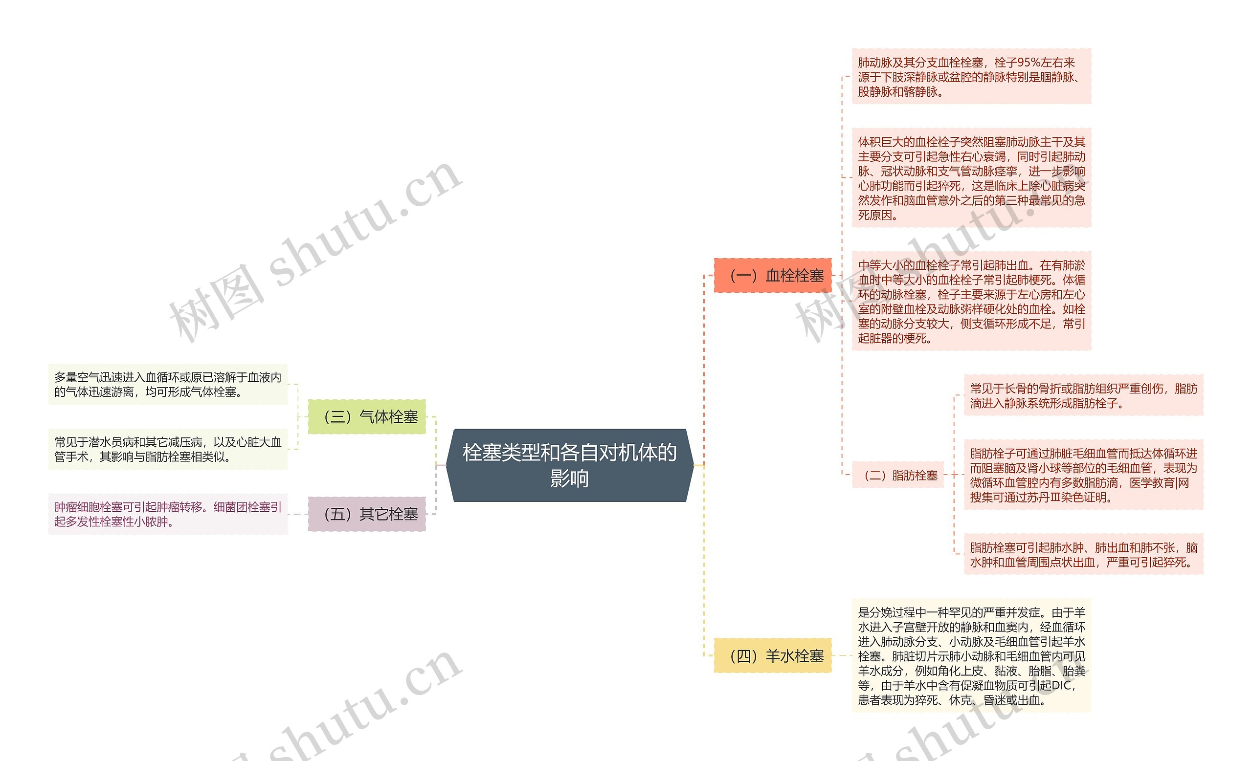 栓塞类型和各自对机体的影响