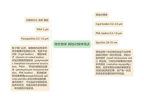 微生物学 其他次核体简述