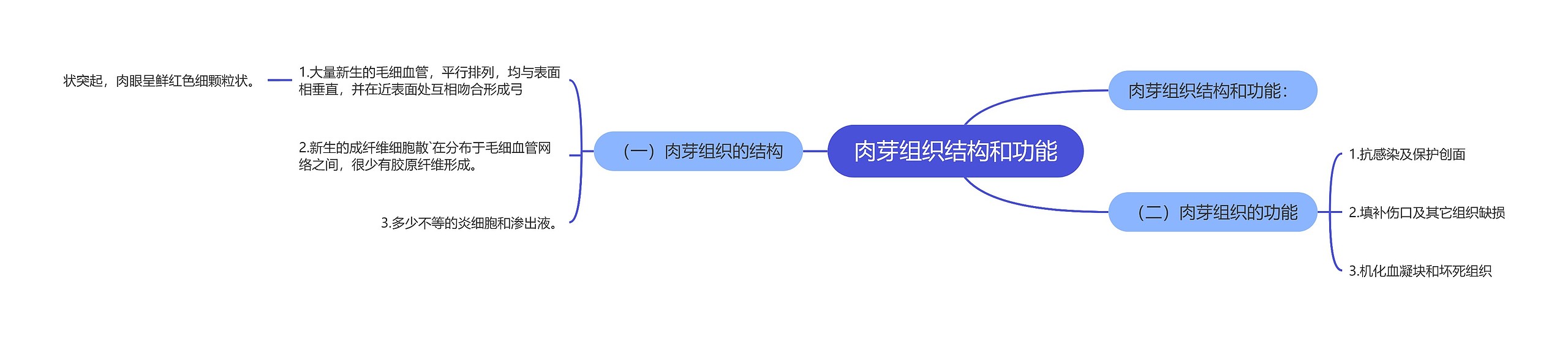 肉芽组织结构和功能 肉芽组织结构和功能