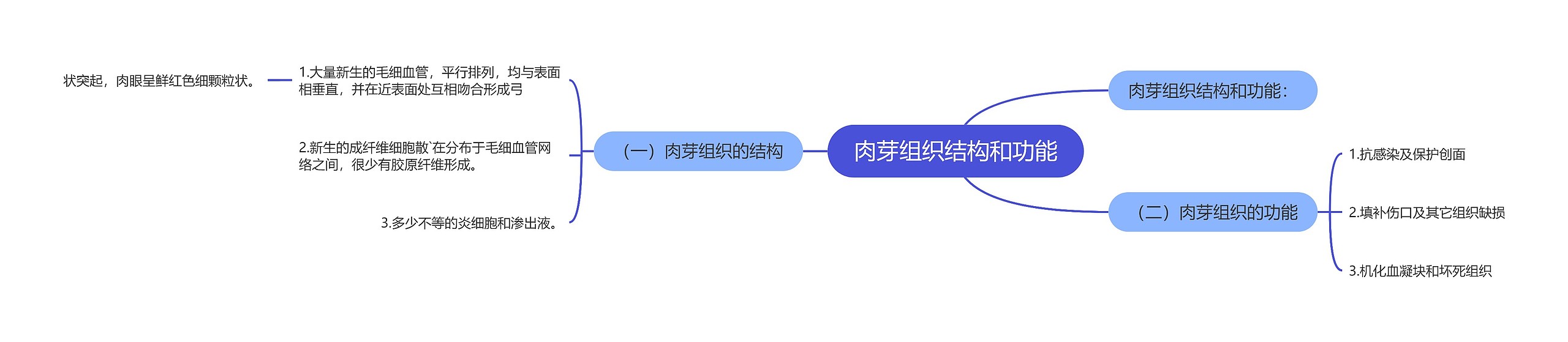 肉芽组织结构和功能思维导图