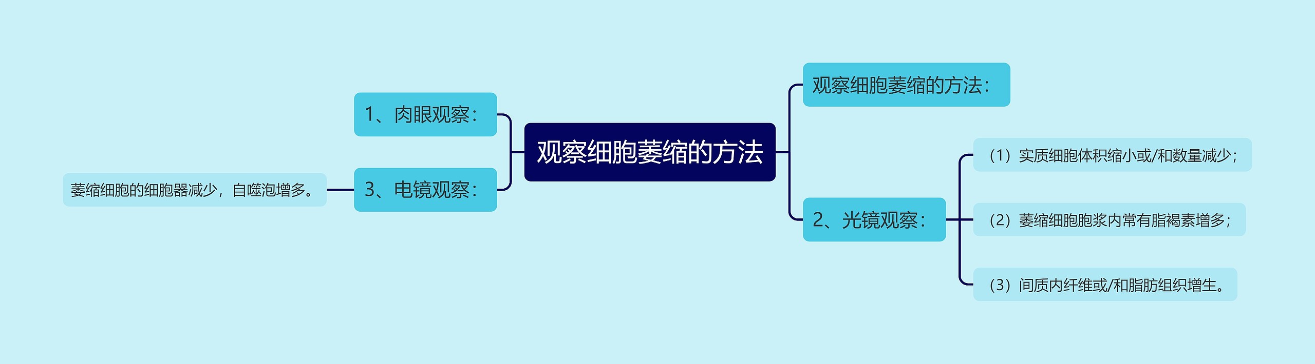 观察细胞萎缩的方法思维导图