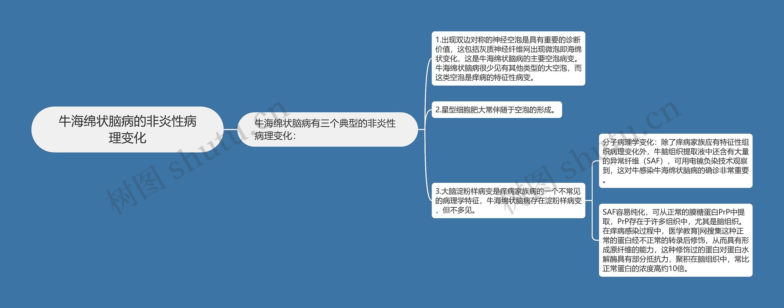 牛海绵状脑病的非炎性病理变化 牛海绵状脑病的非炎性病理变化