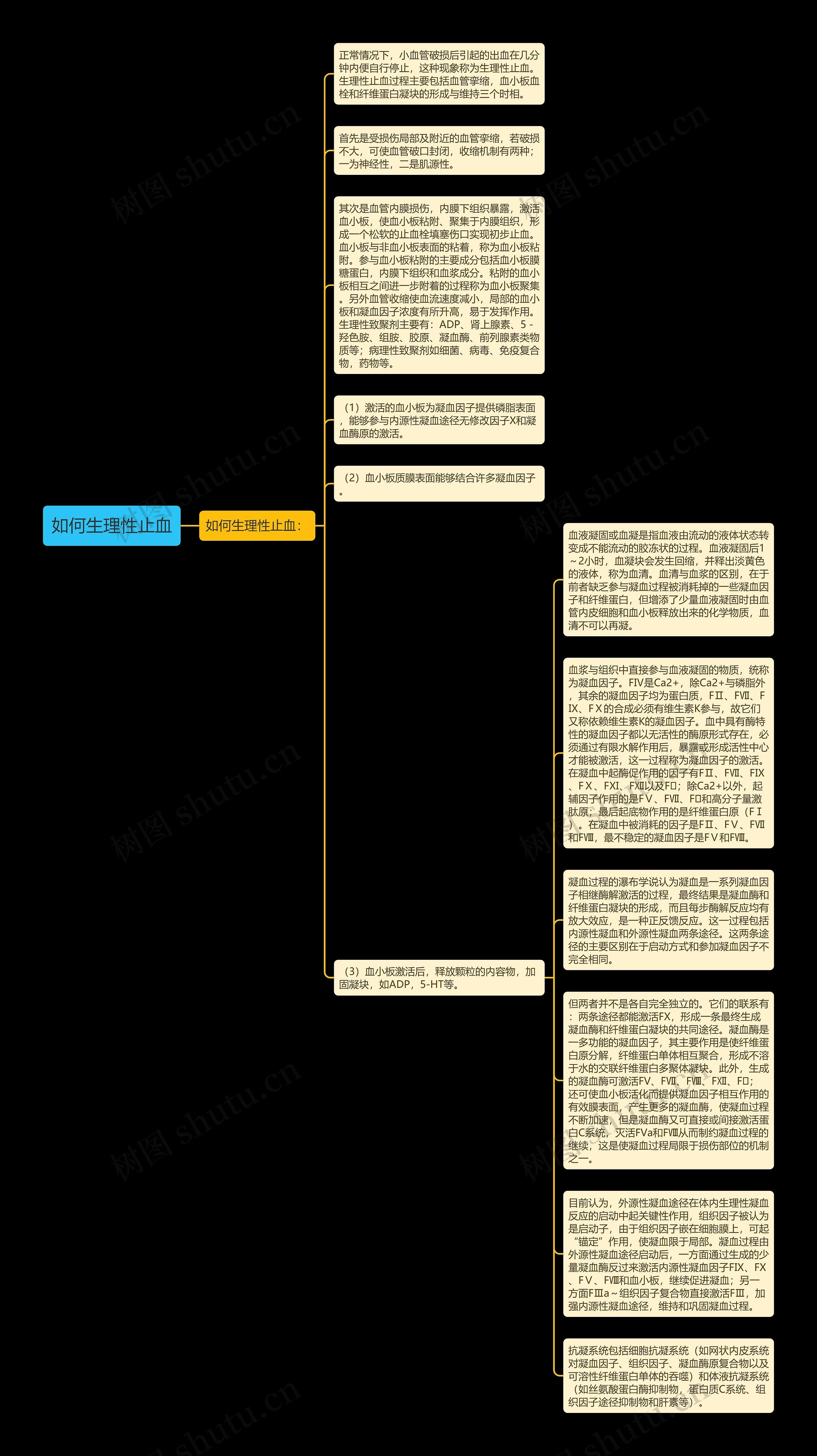 如何生理性止血思维导图