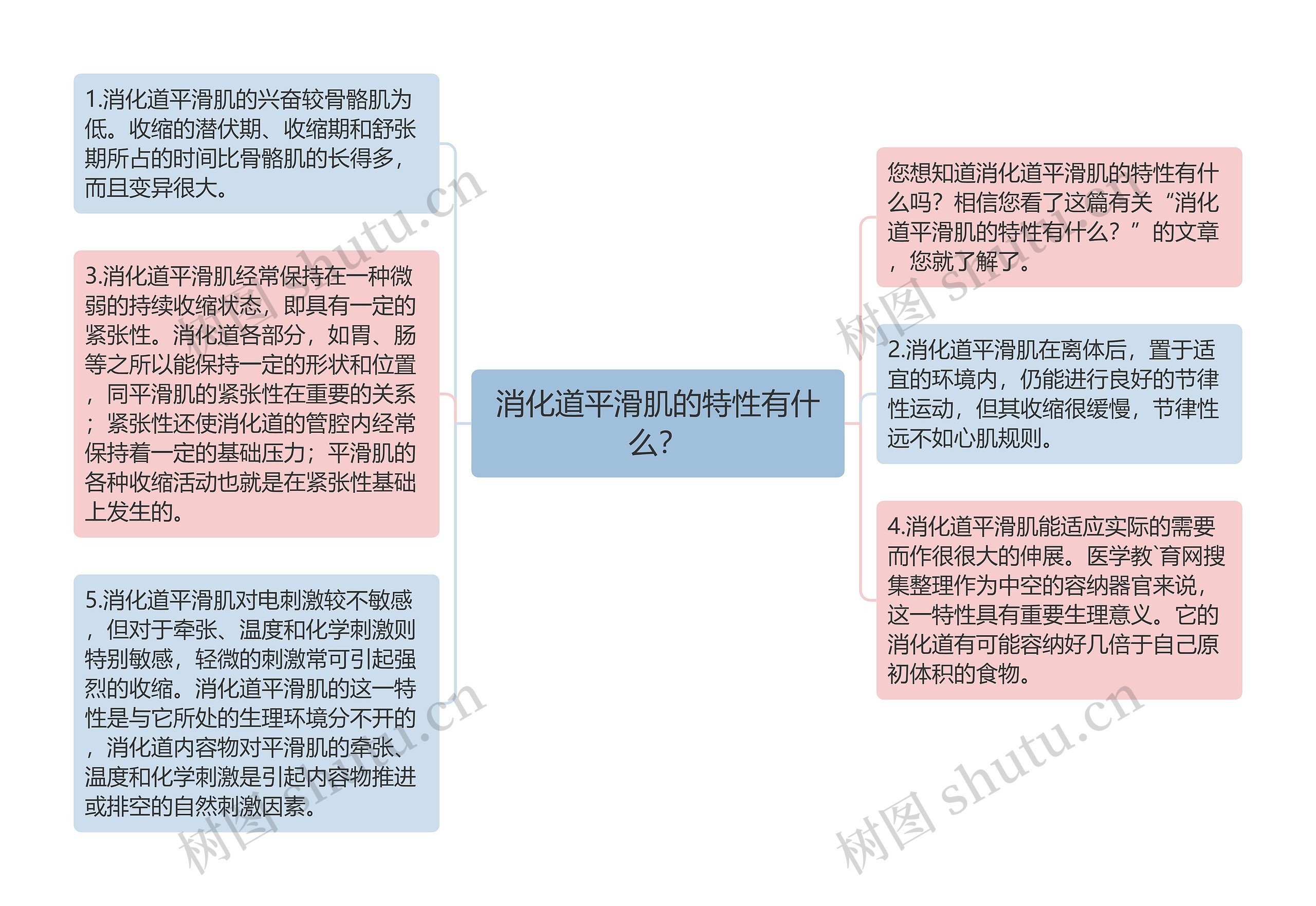 消化道平滑肌的特性有什么？思维导图