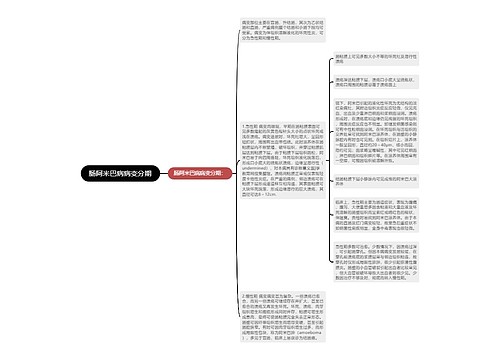 肠阿米巴病病变分期