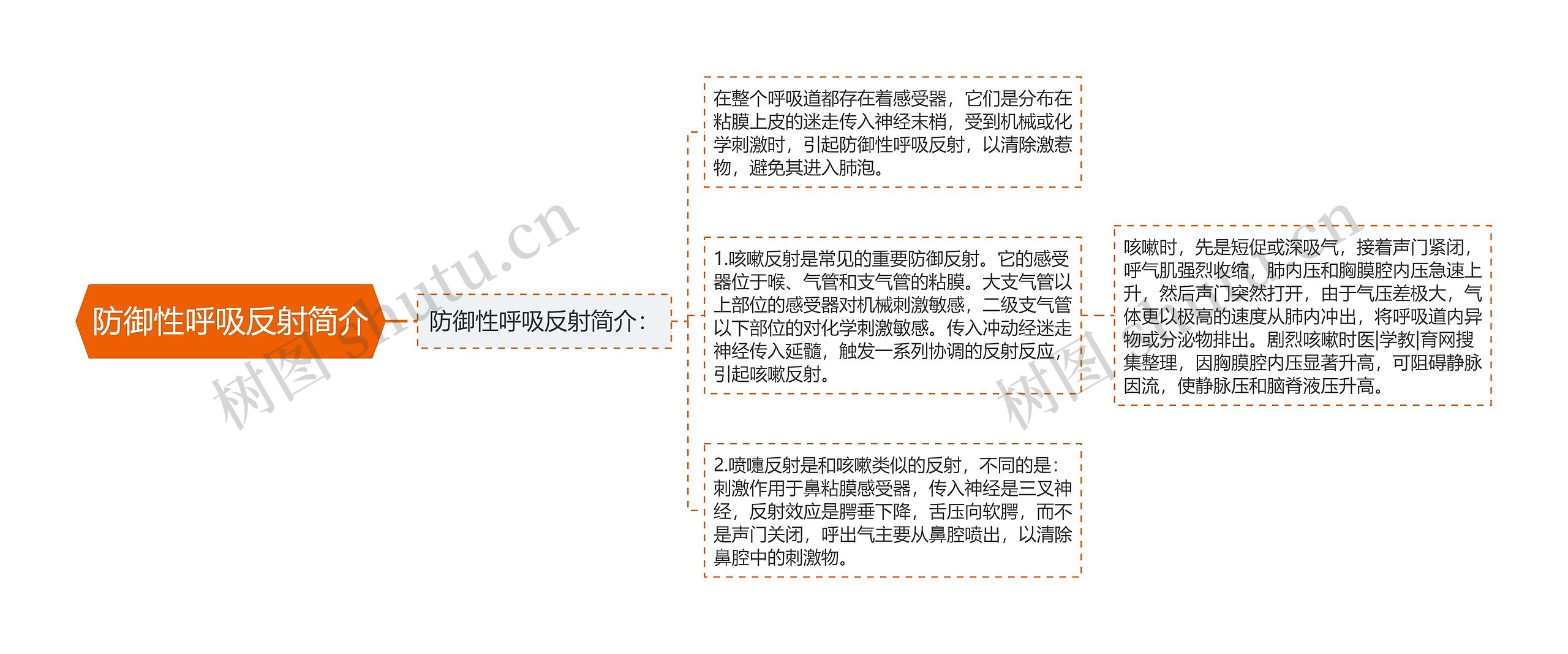 防御性呼吸反射简介思维导图