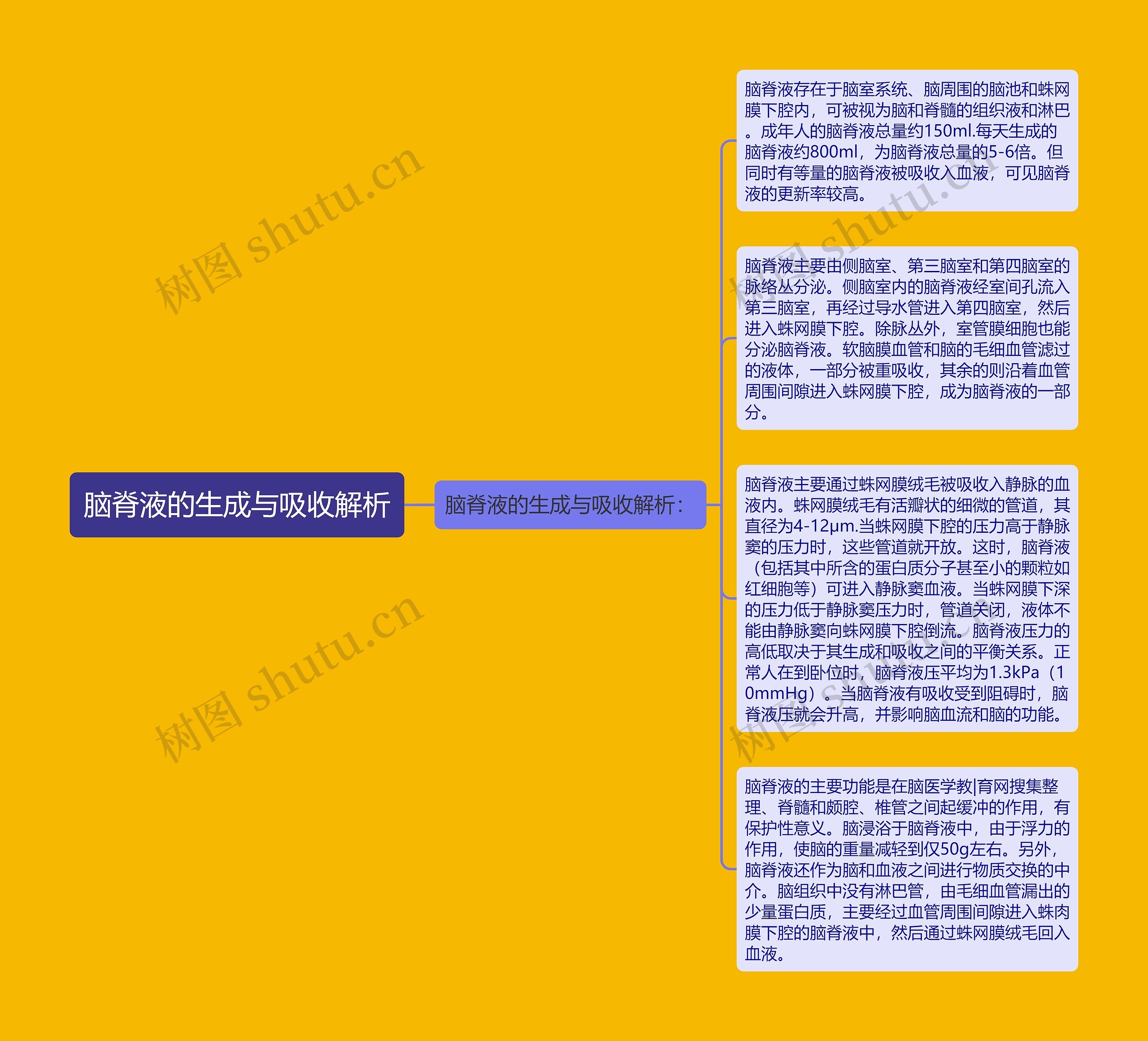 脑脊液的生成与吸收解析