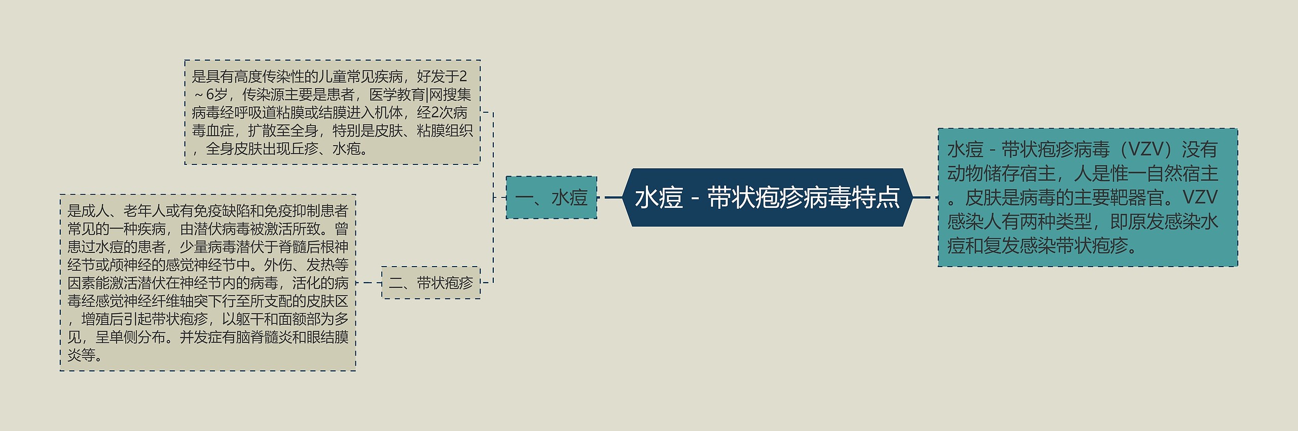 水痘－带状疱疹病毒特点思维导图