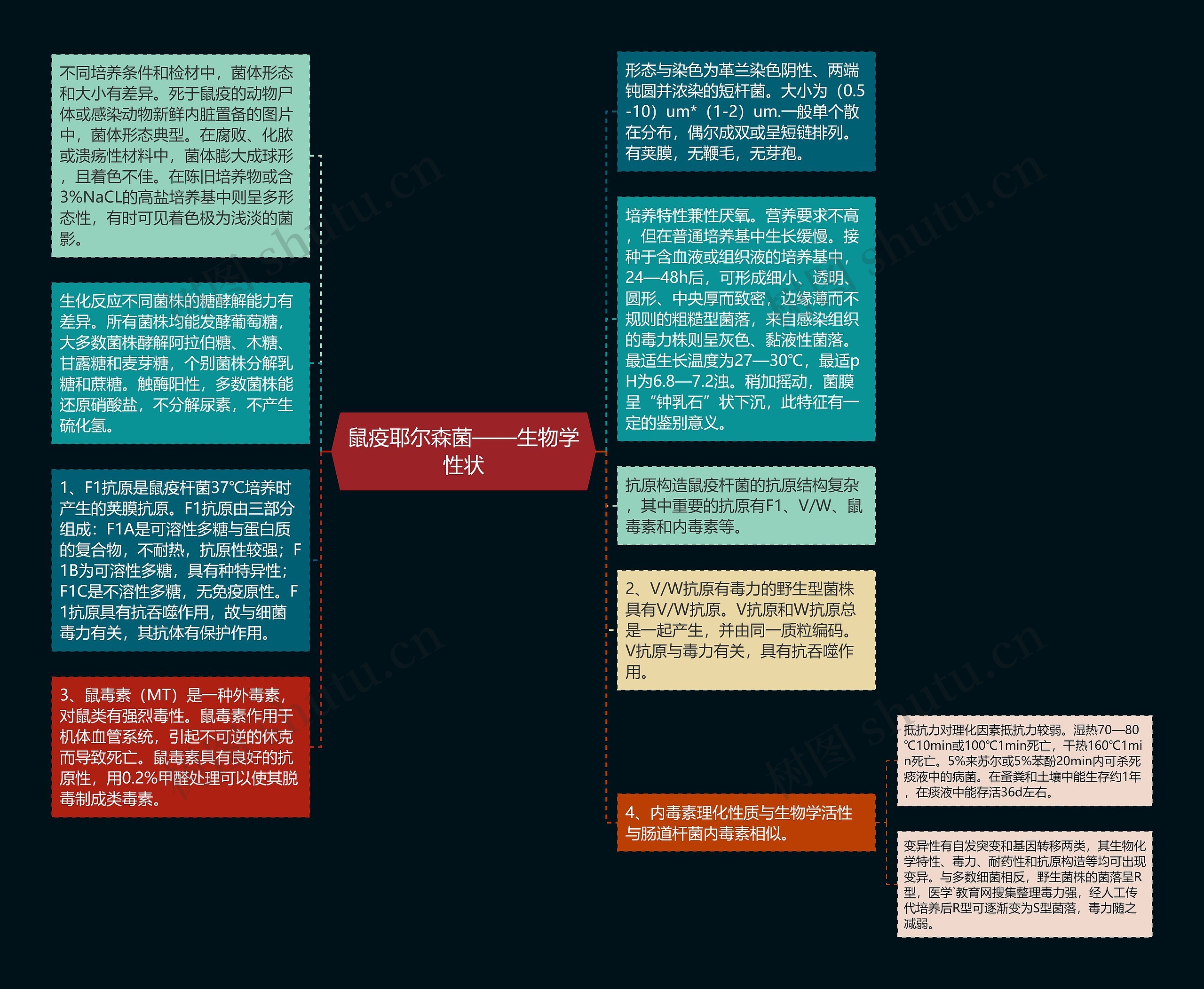 鼠疫耶尔森菌——生物学性状思维导图