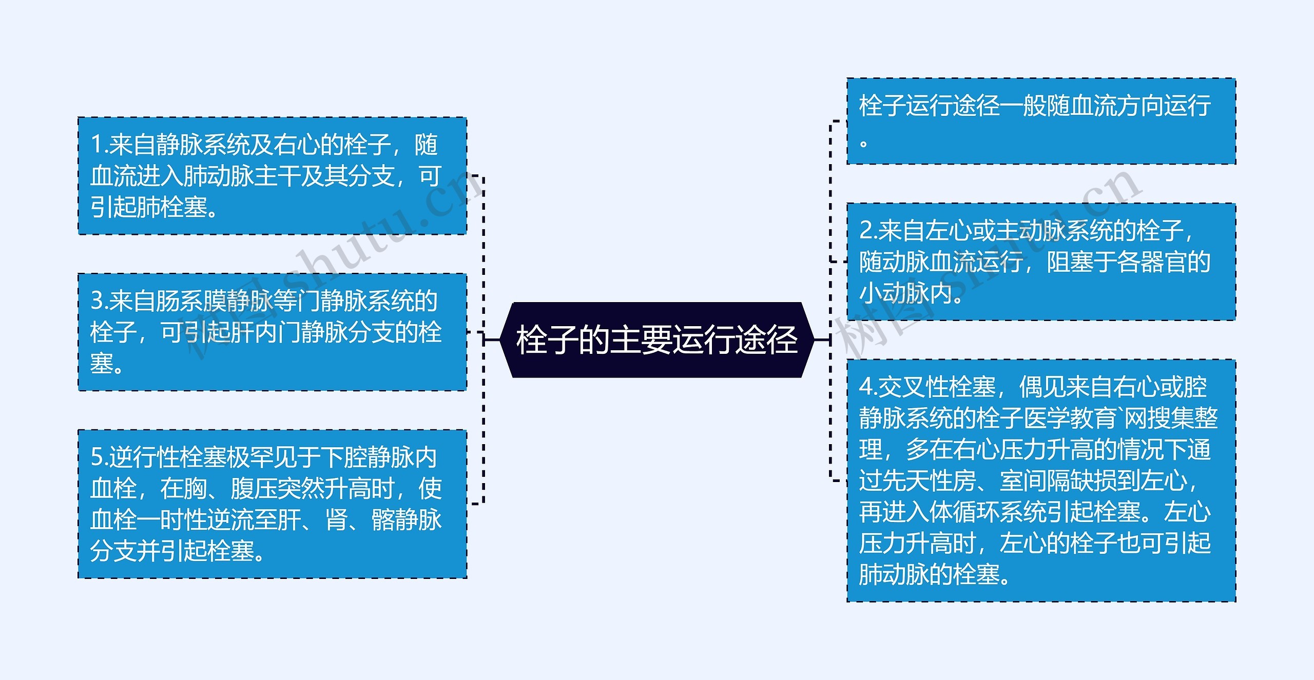 栓子的主要运行途径