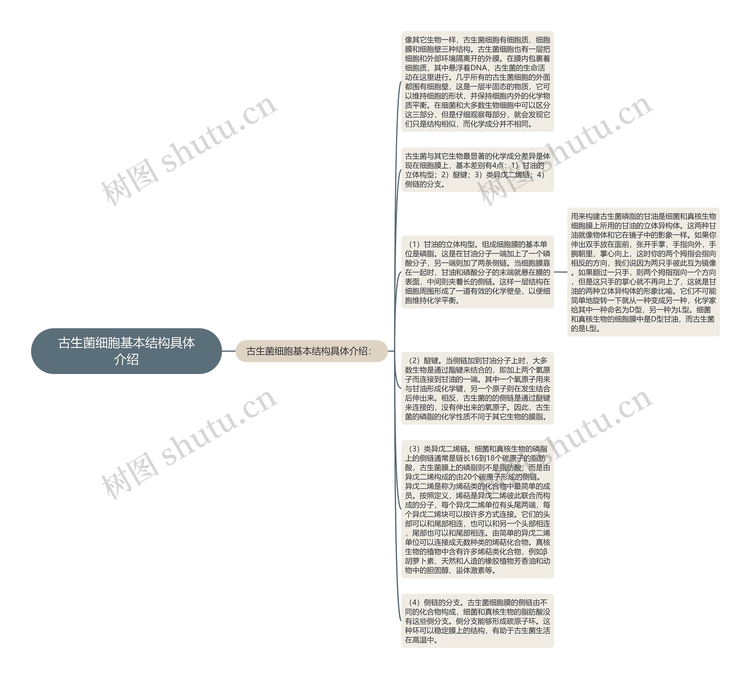 古生菌细胞基本结构具体介绍思维导图