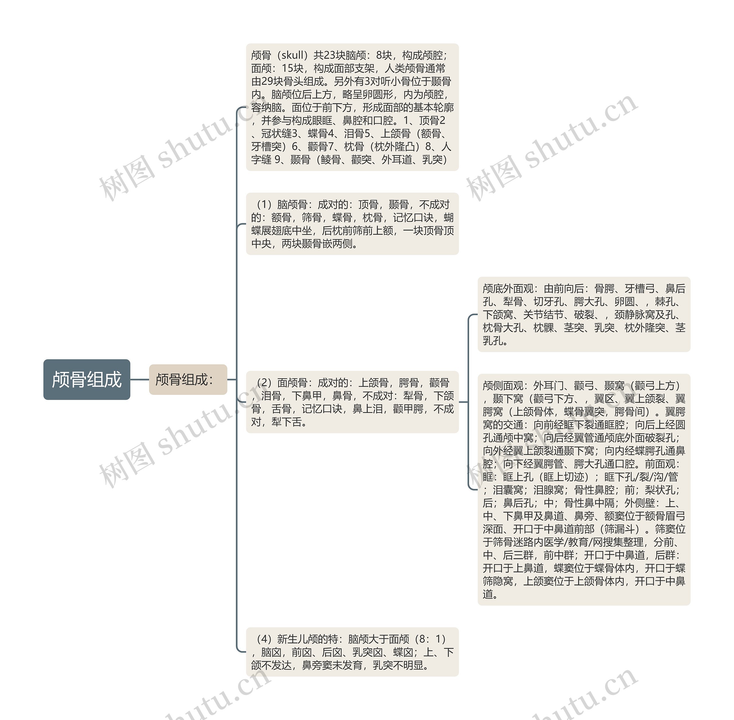 颅骨组成思维导图