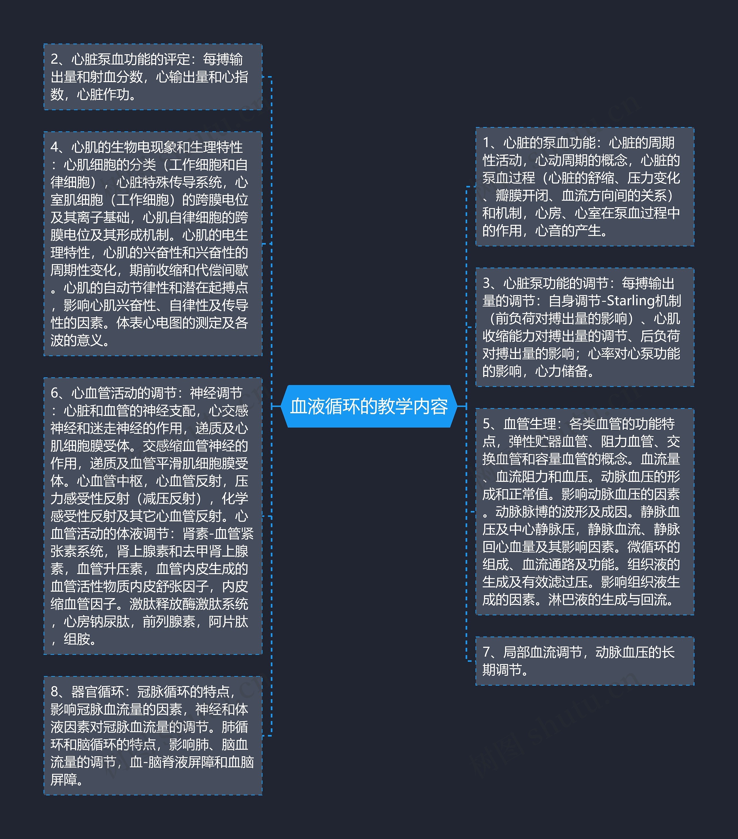 血液循环的教学内容思维导图