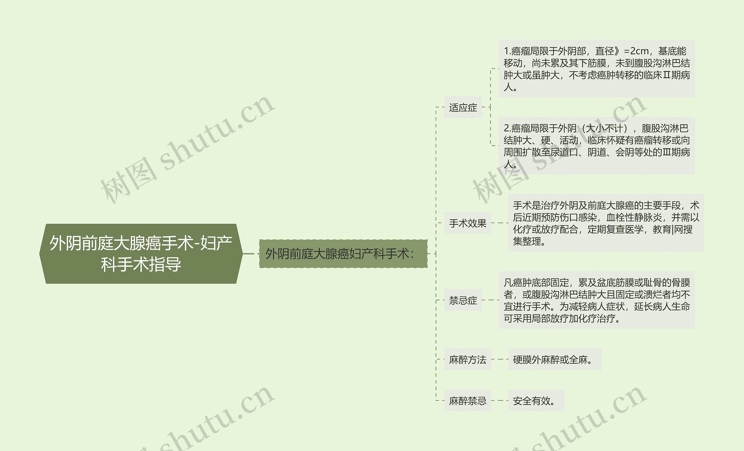 外阴前庭大腺癌手术-妇产科手术指导