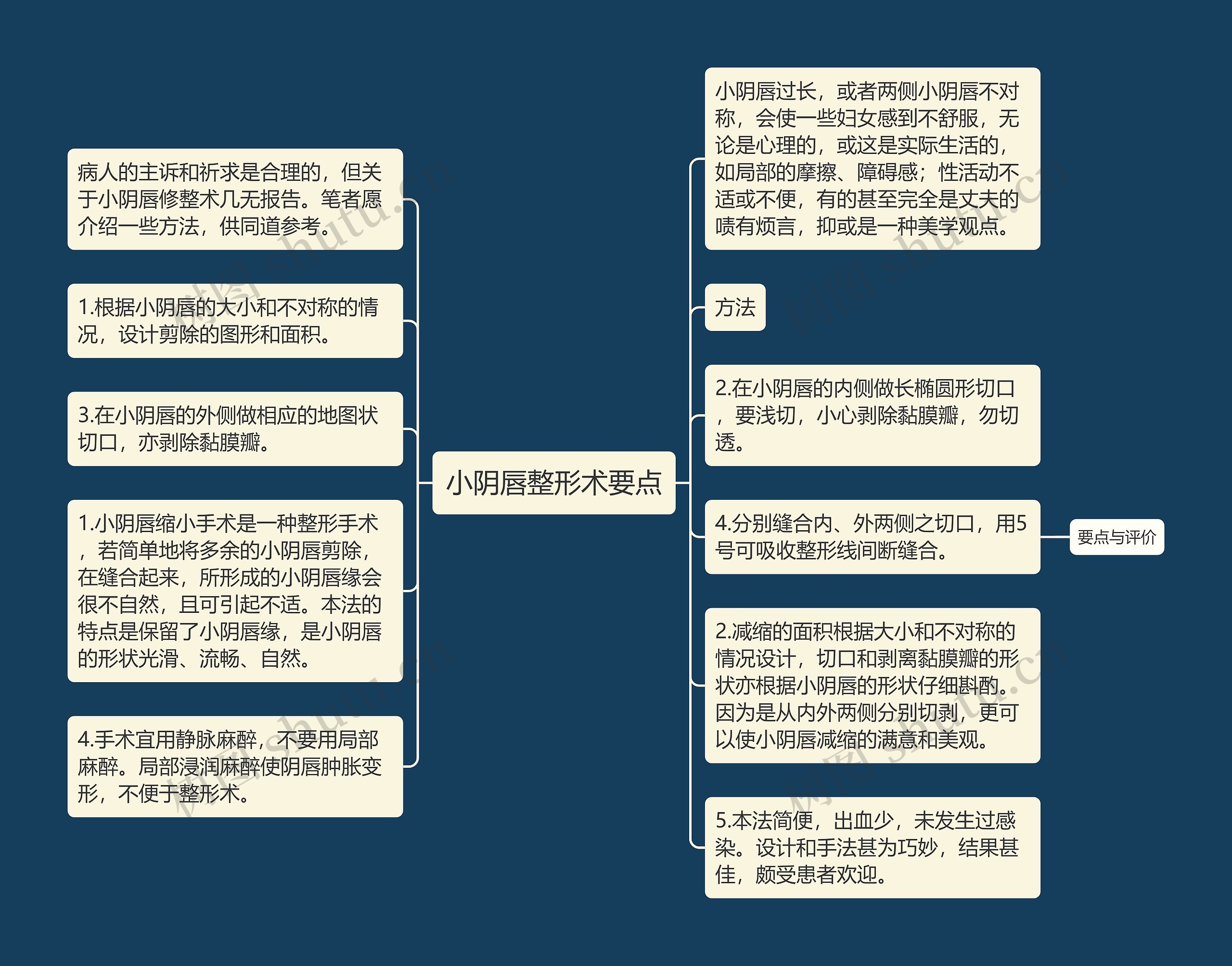 小阴唇整形术要点思维导图