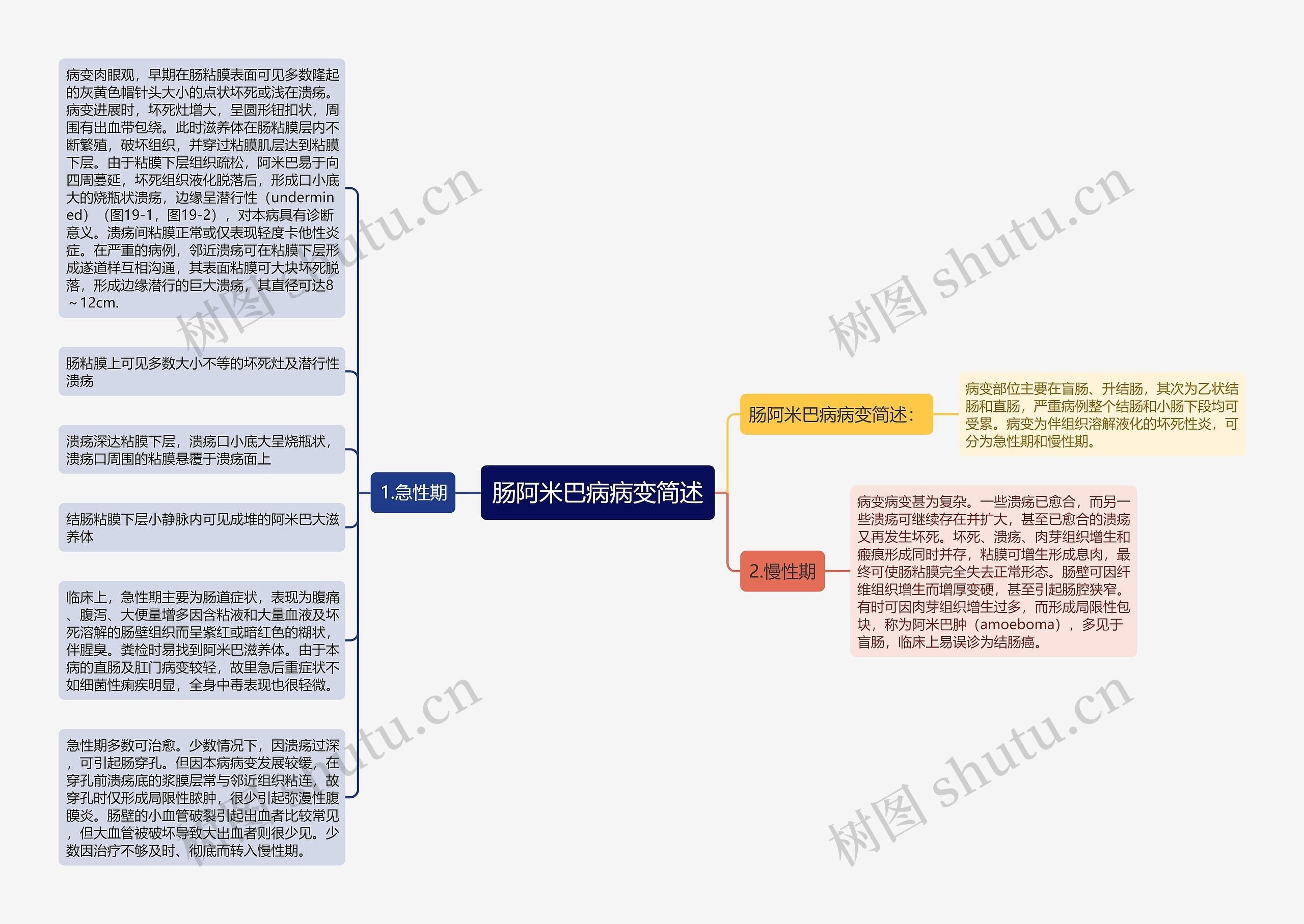 肠阿米巴病病变简述