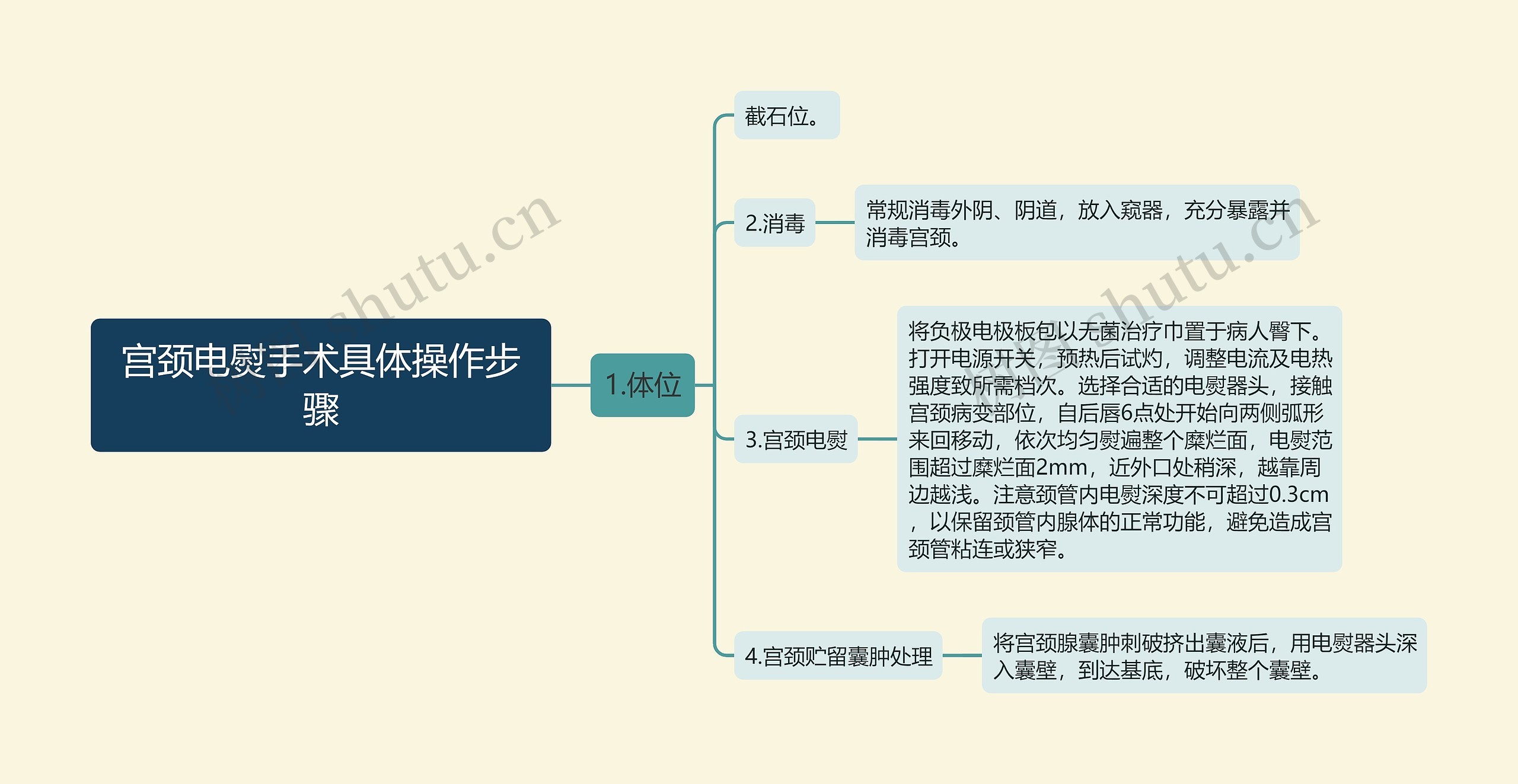 宫颈电熨手术具体操作步骤思维导图