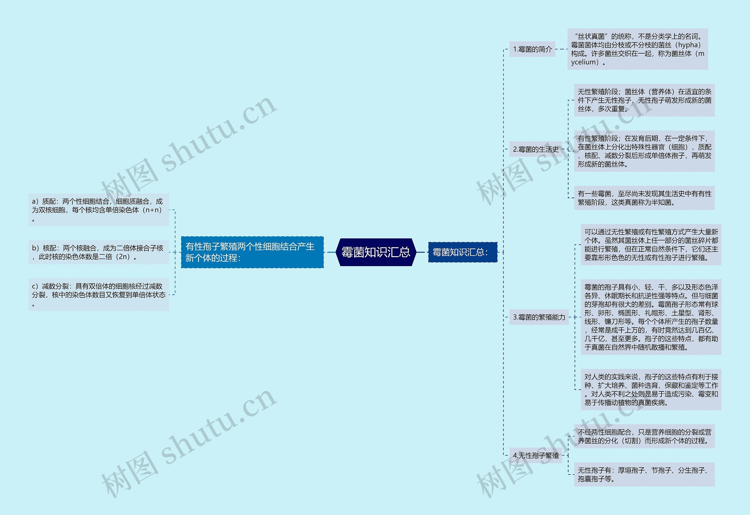 霉菌知识汇总思维导图高清图 霉菌知识汇总思维导图