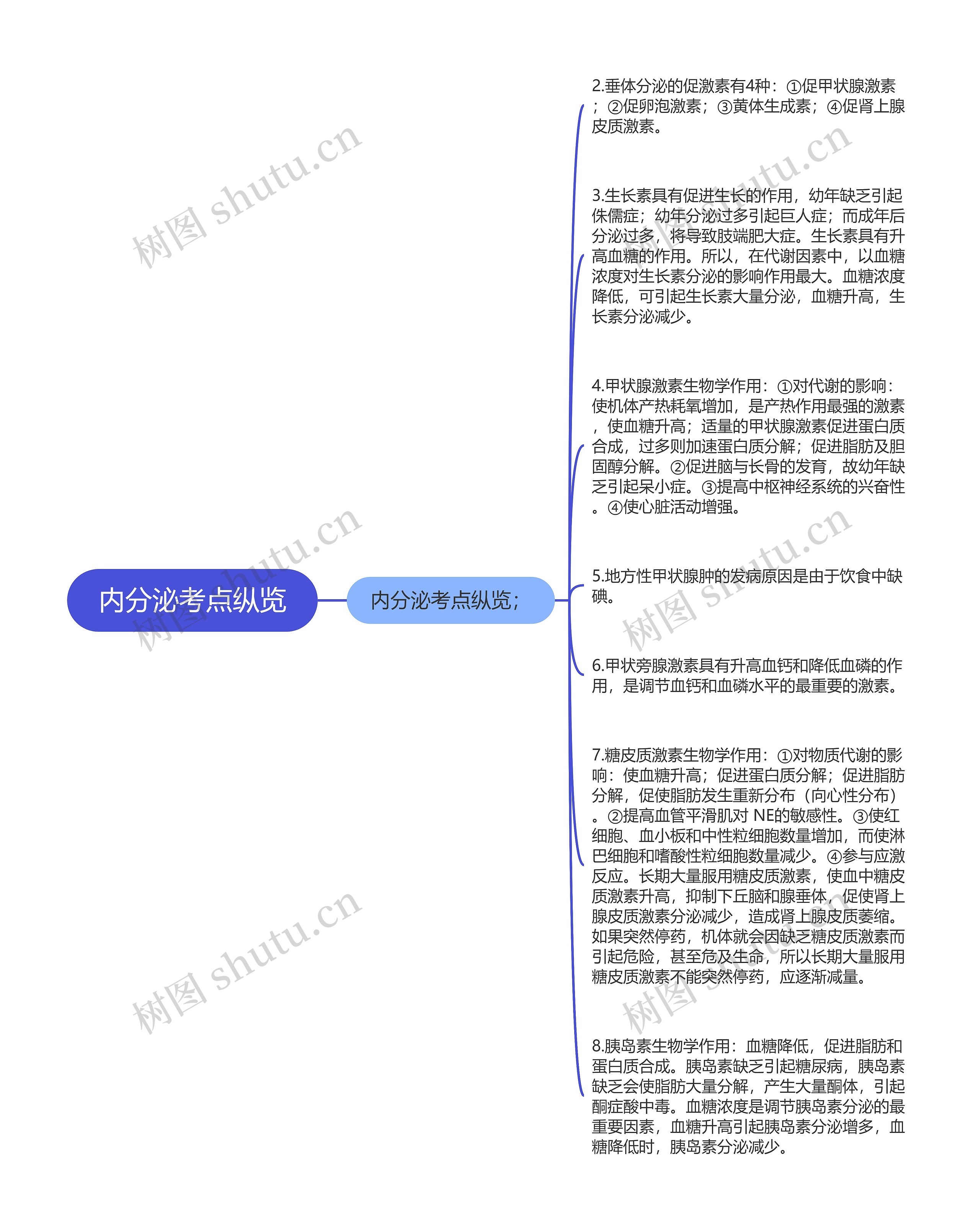 内分泌考点纵览思维导图