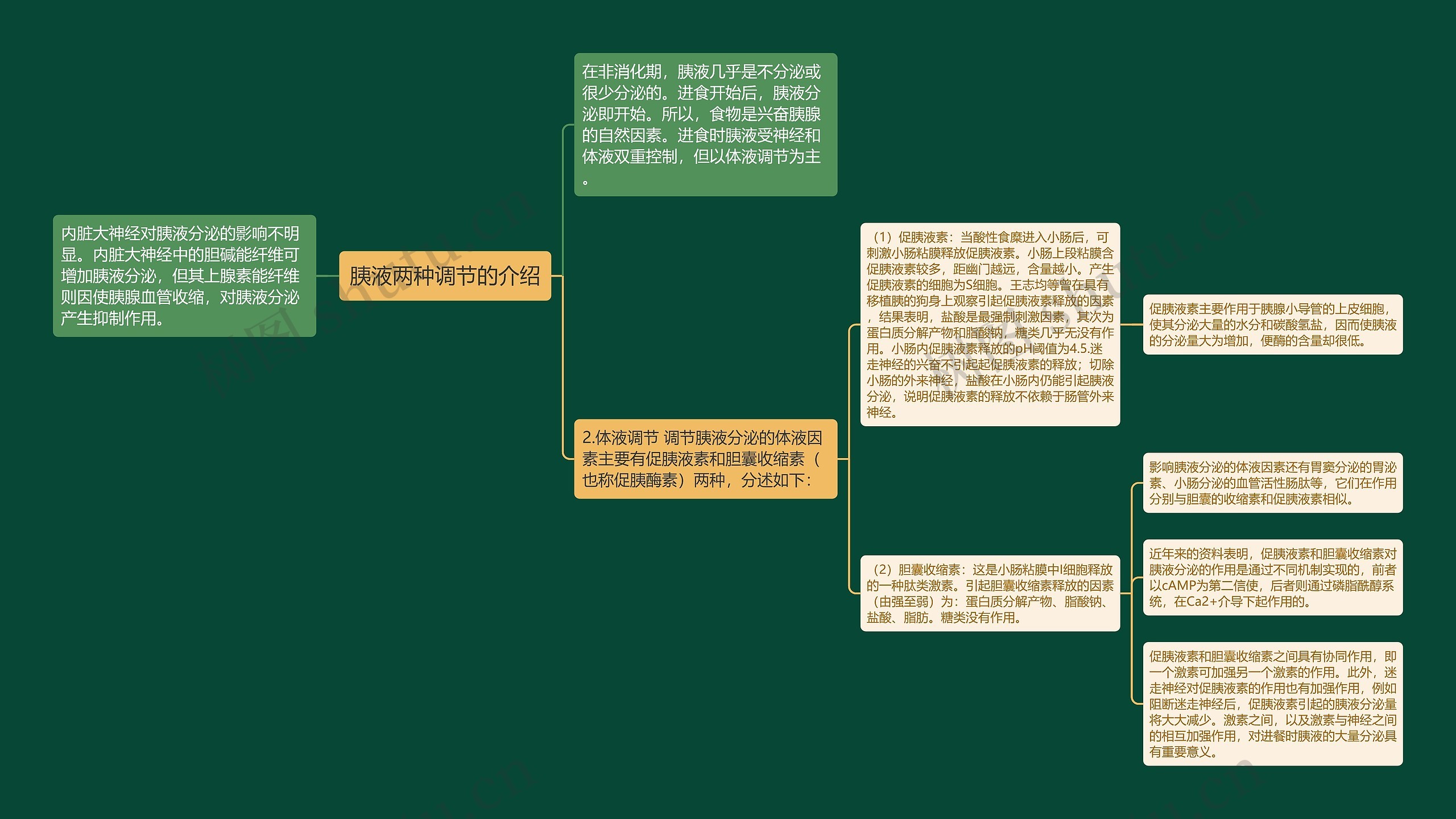 胰液两种调节的介绍 胰液两种调节的介绍