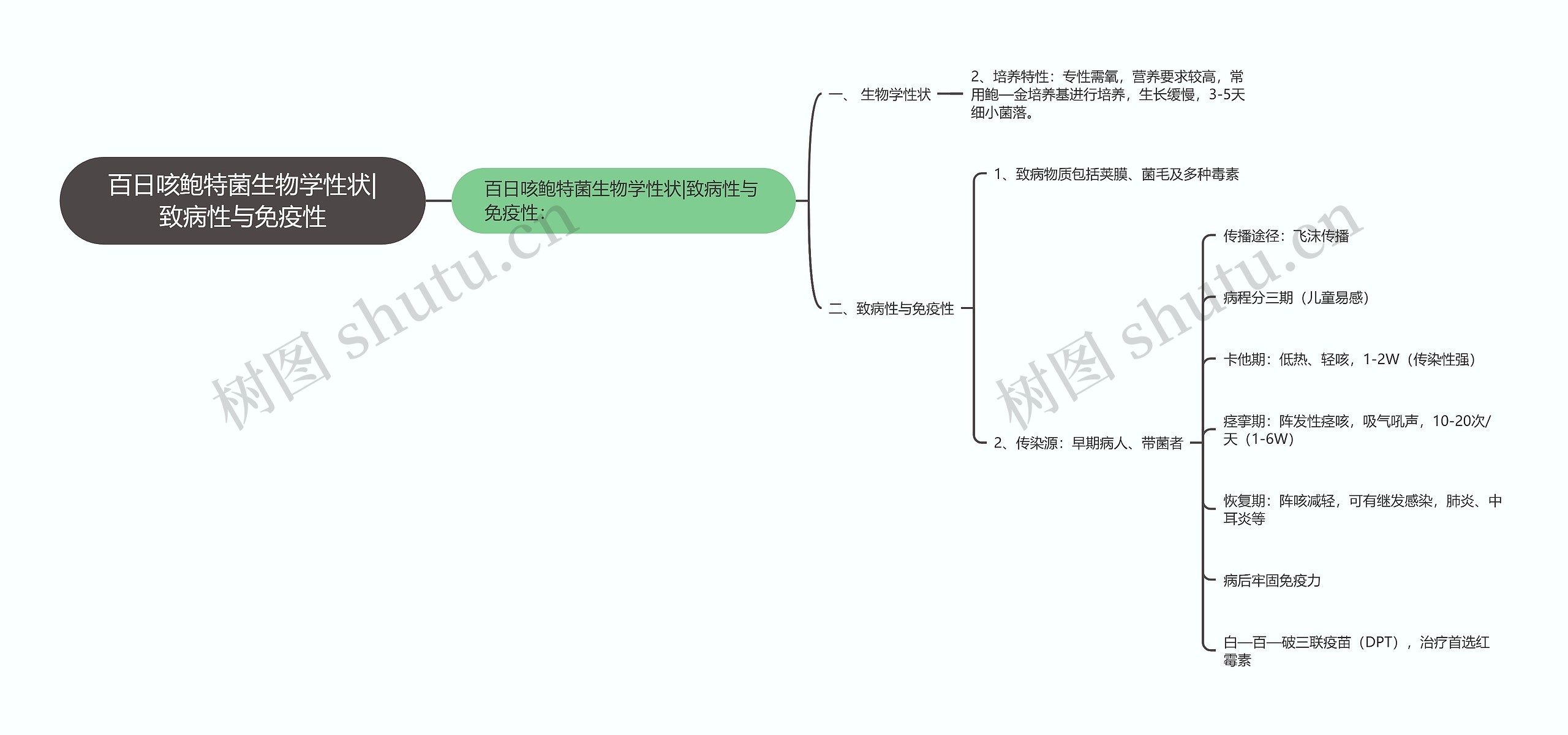 百日咳鲍特菌生物学性状|致病性与免疫性 百日咳鲍特菌生物学性状|致病性与免疫性