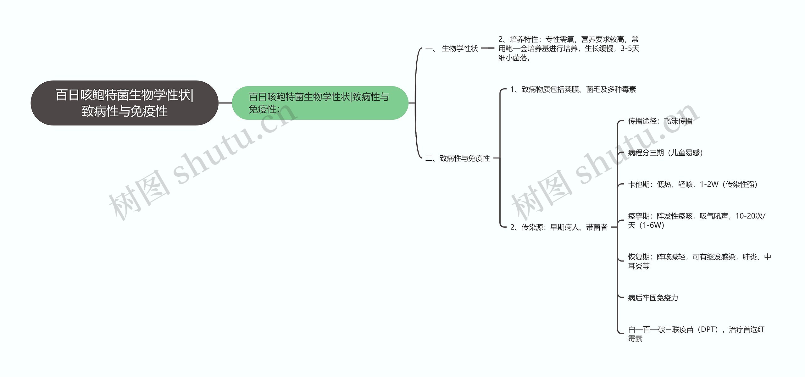 百日咳鲍特菌生物学性状|致病性与免疫性思维导图