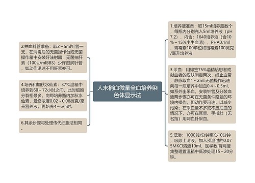 人末梢血微量全血培养染色体显示法