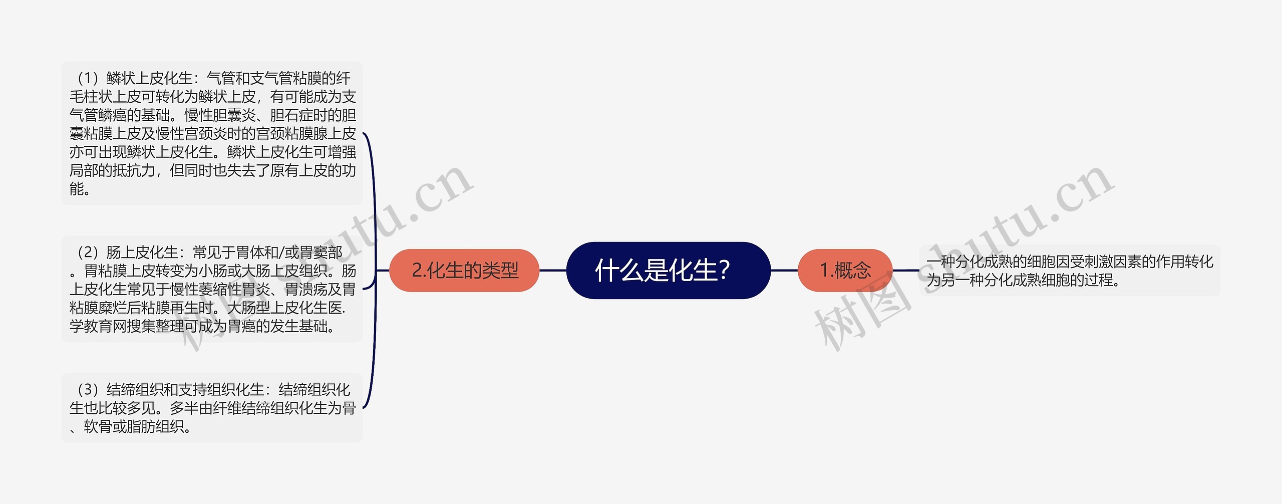 什么是化生？思维导图