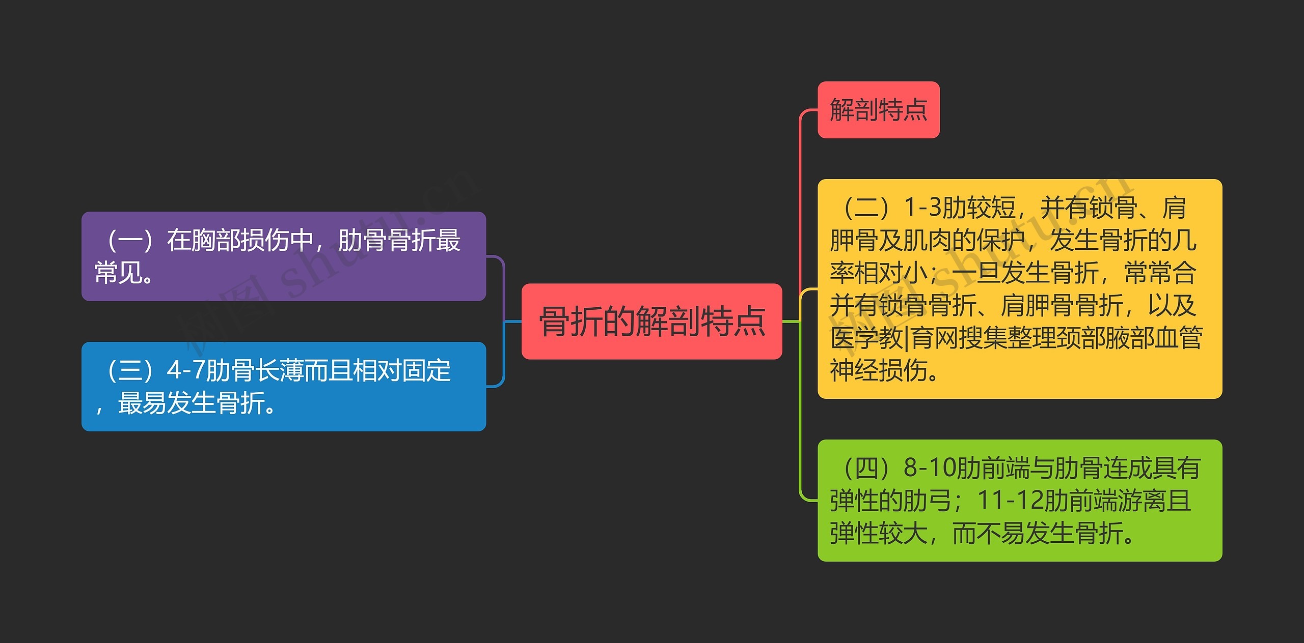 骨折的解剖特点