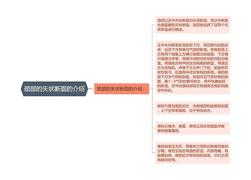 颈部的矢状断面的介绍