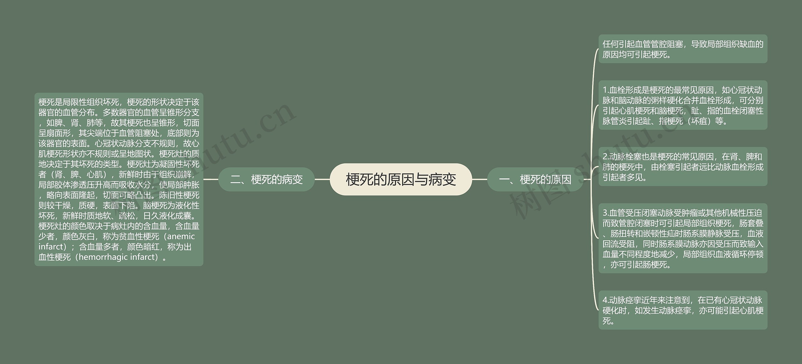 梗死的原因与病变思维导图