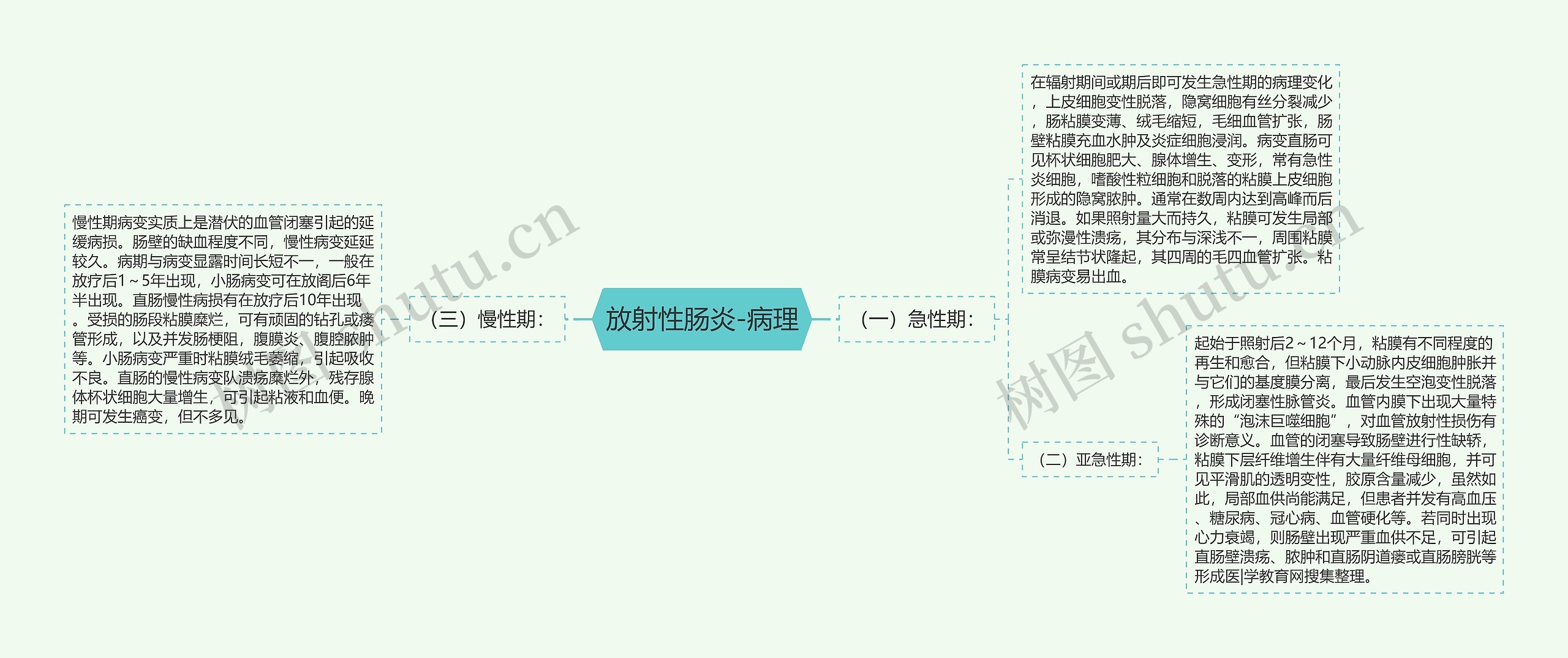 放射性肠炎-病理思维导图