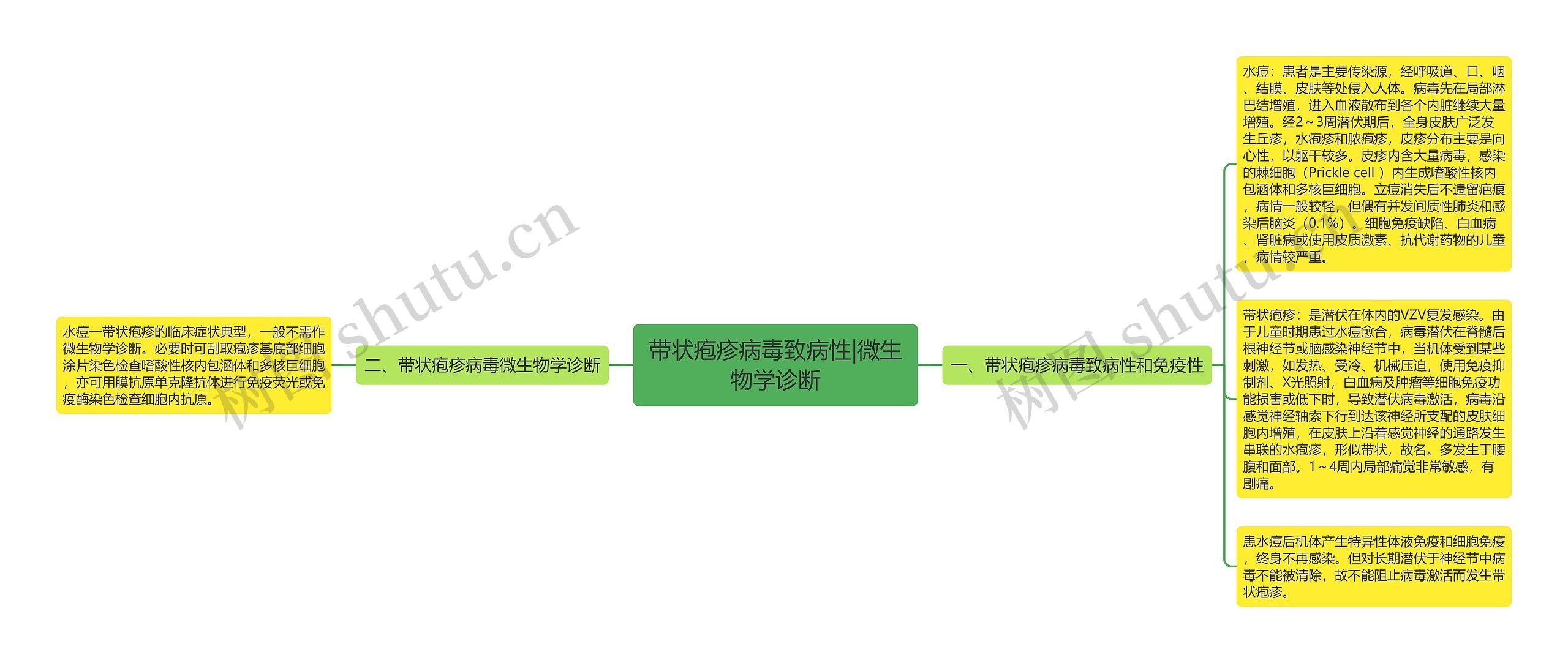 带状疱疹病毒致病性|微生物学诊断