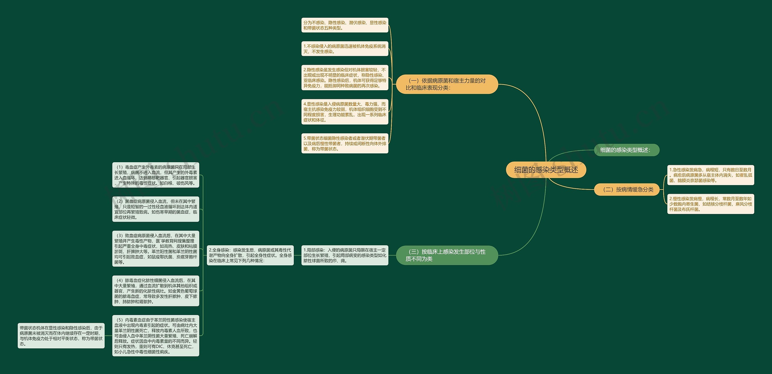 细菌的感染类型概述思维导图