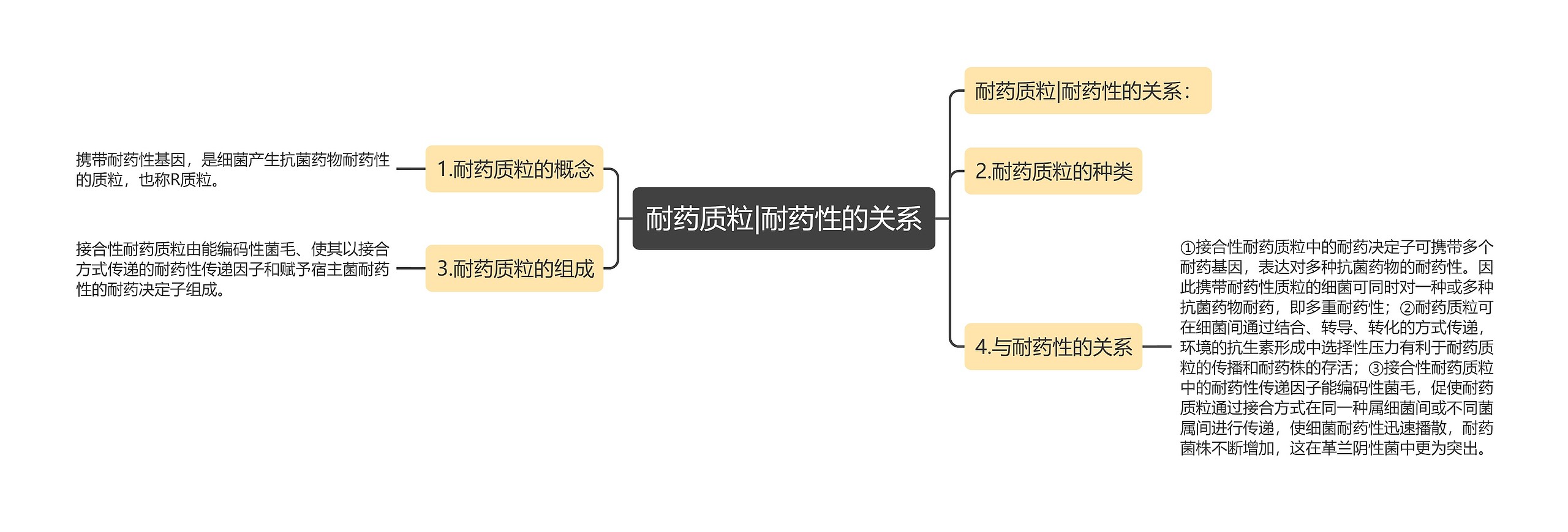 耐药质粒|耐药性的关系