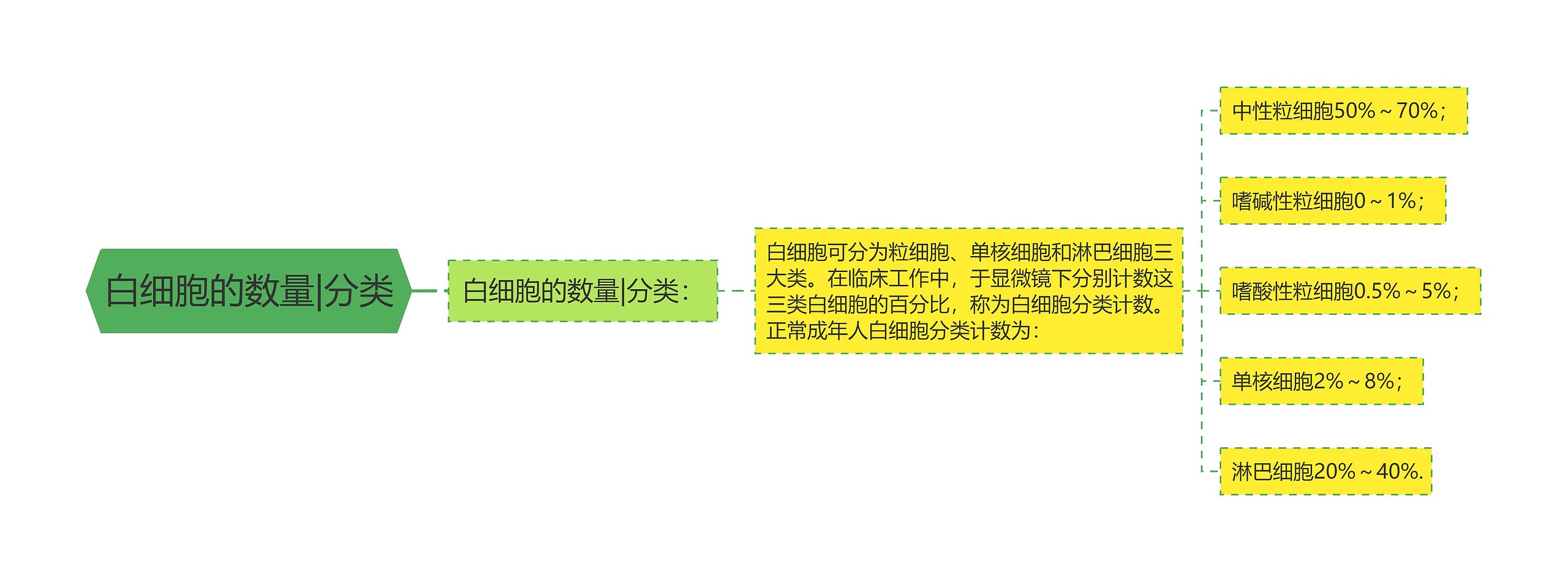 白细胞的数量|分类 白细胞的数量|分类