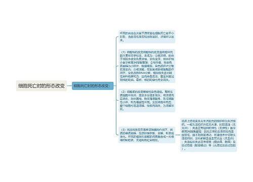 细胞死亡时的形态改变