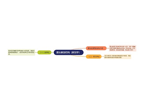 腰丛解剖结构（解剖学）