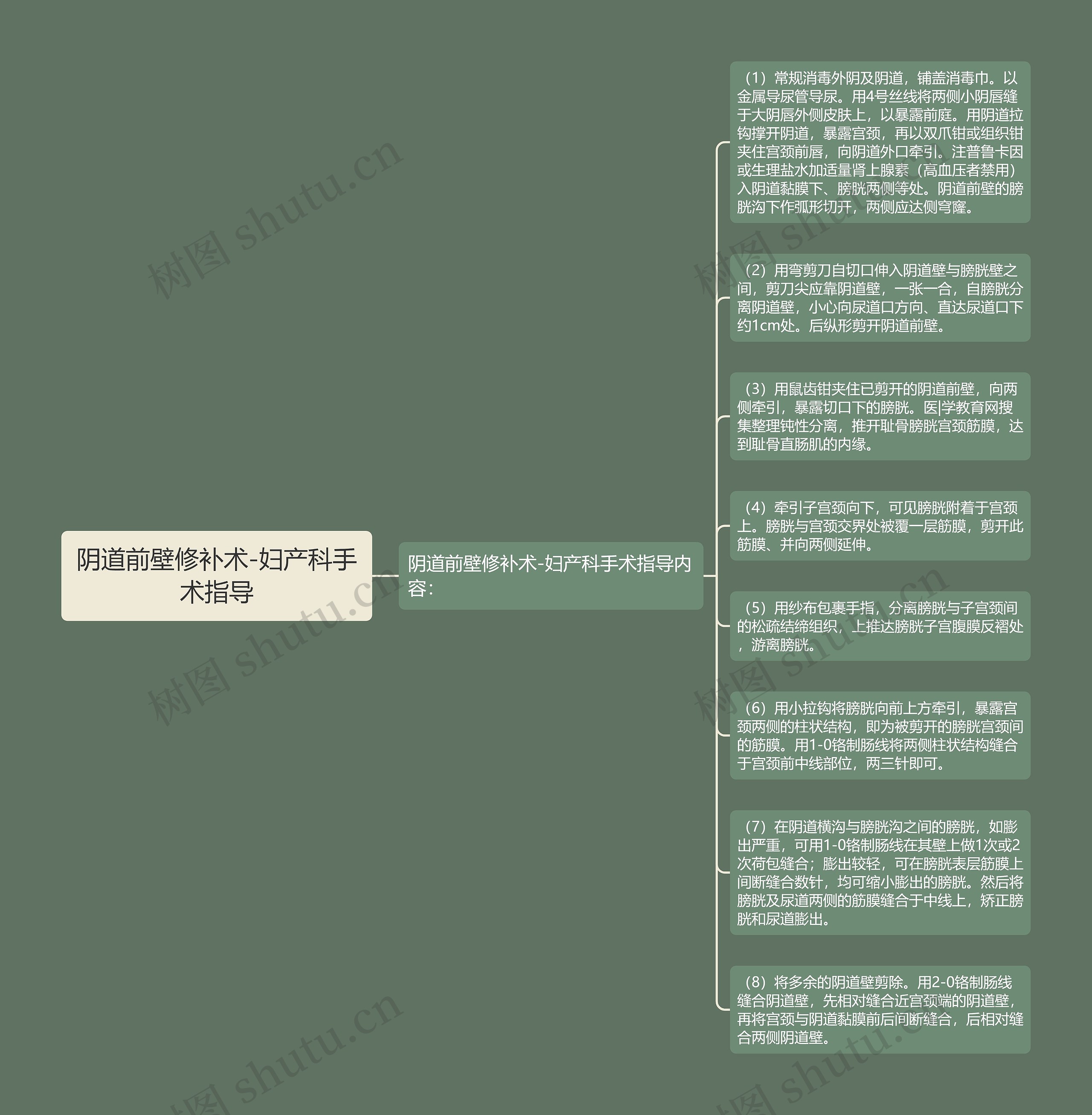 阴道前壁修补术-妇产科手术指导思维导图