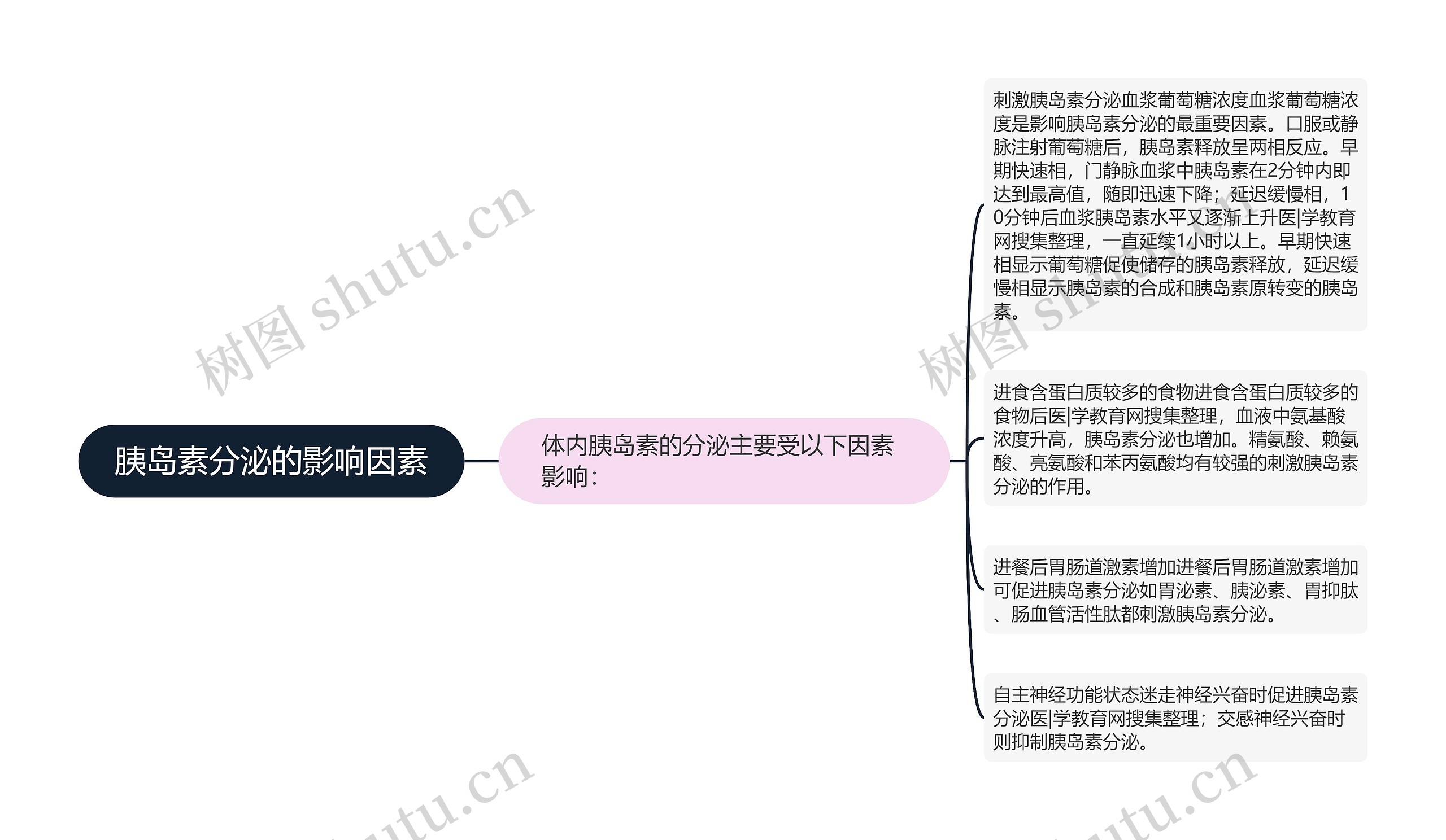 胰岛素分泌的影响因素思维导图