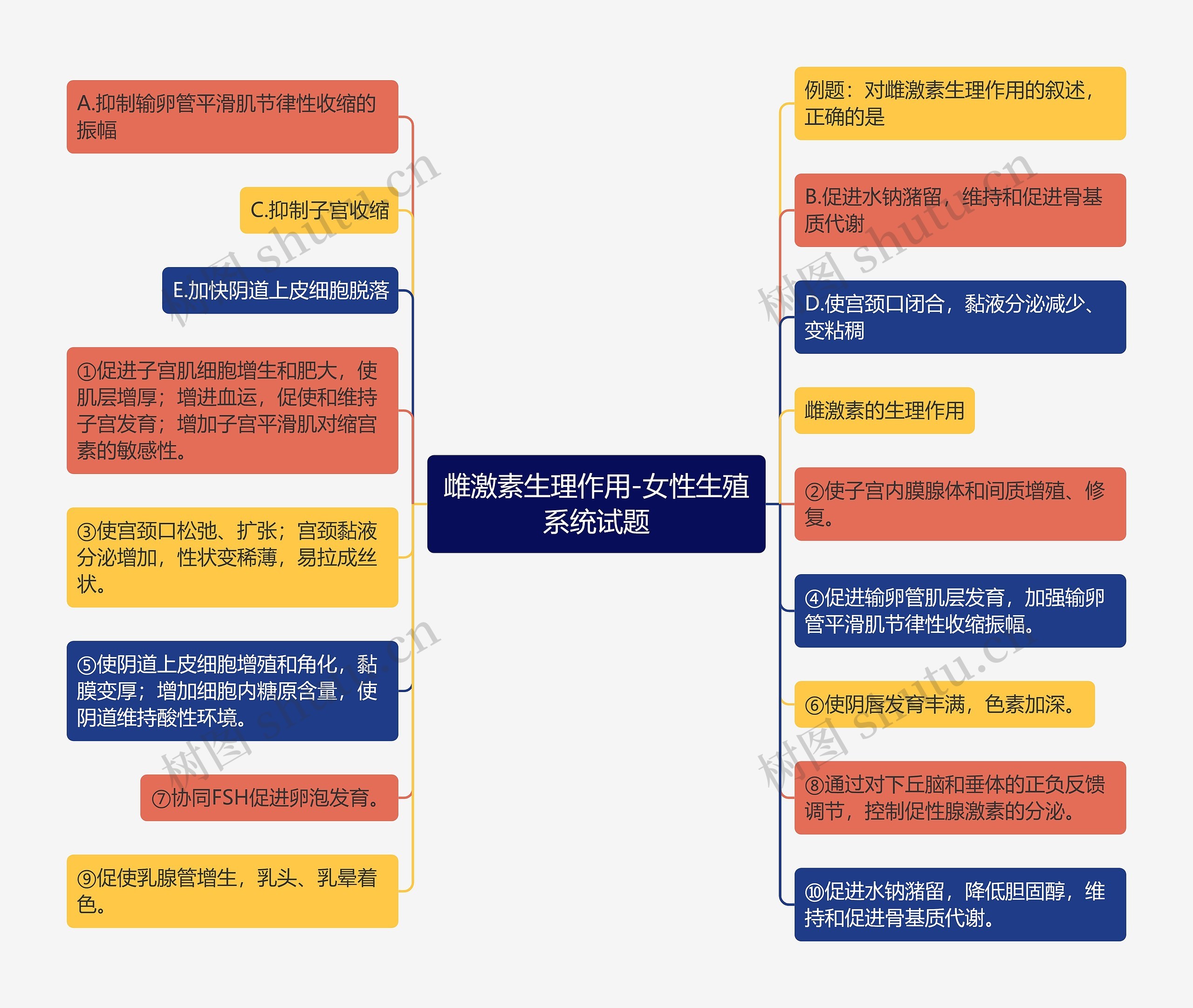 雌激素生理作用-女性生殖系统试题思维导图