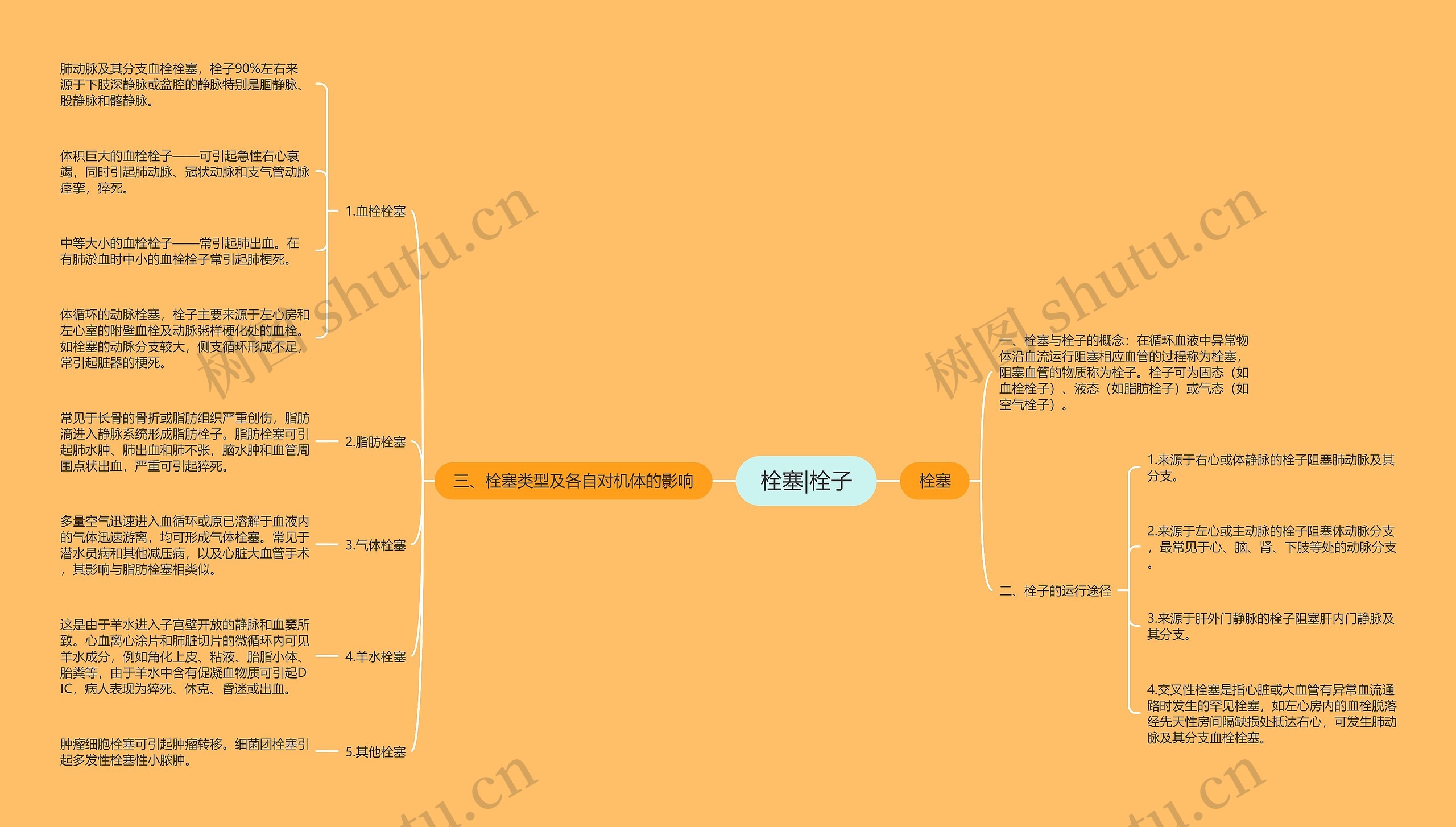 栓塞|栓子思维导图