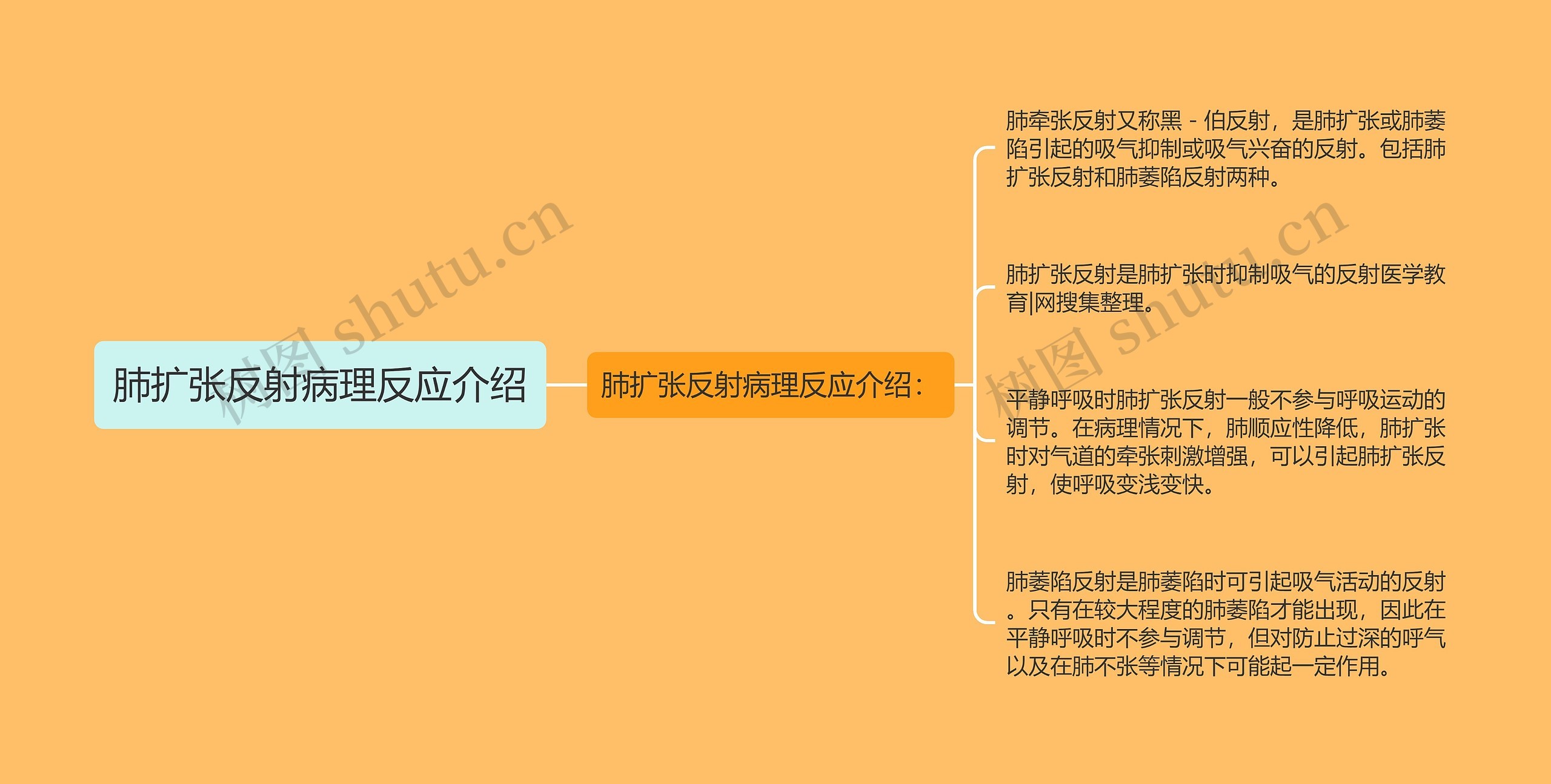 肺扩张反射病理反应介绍思维导图